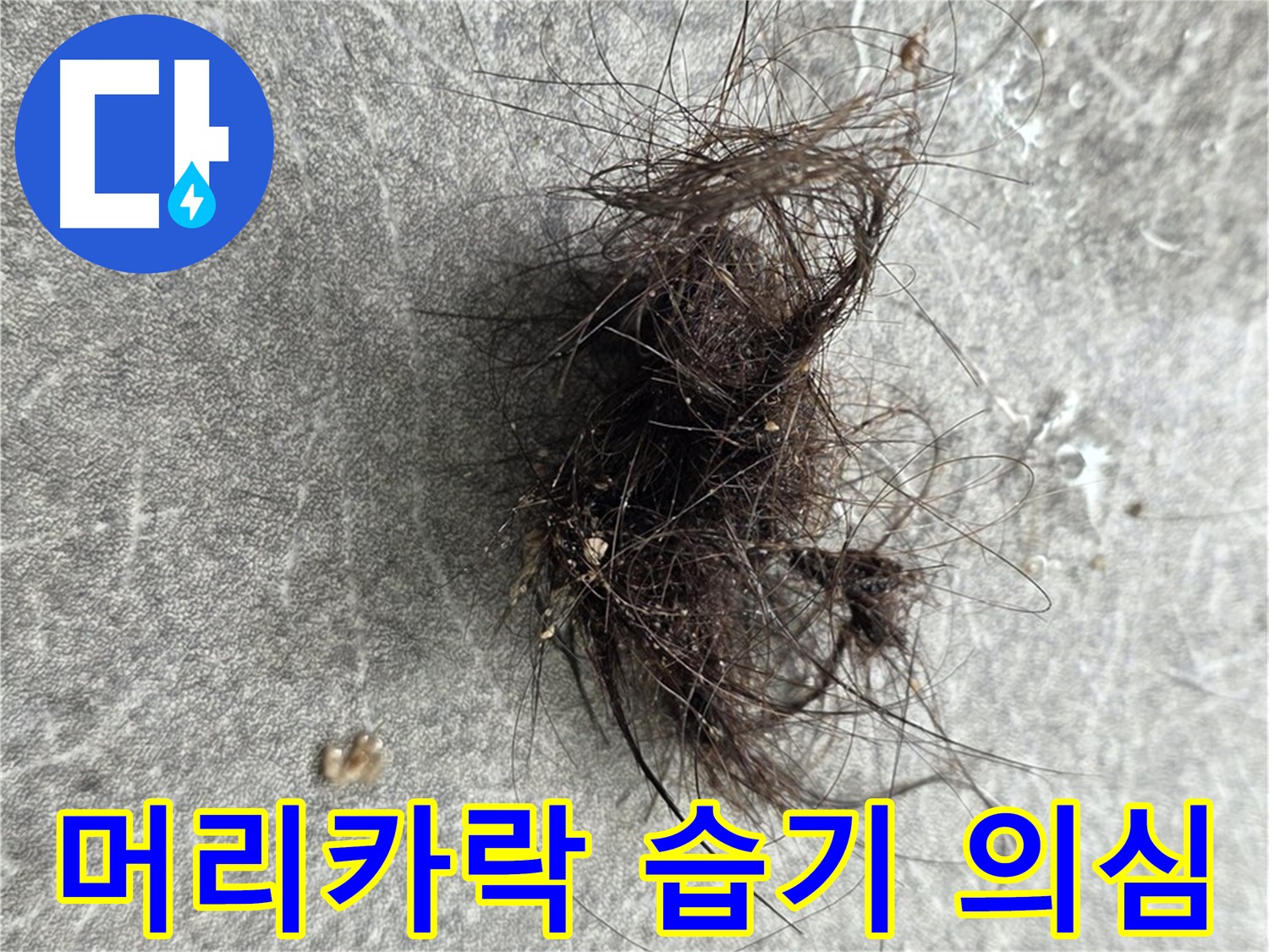 머리카락 습기 의심 - 머리카락 주변 습기, 누수 가능성을 의심하고 전문가에게 문의하세요.