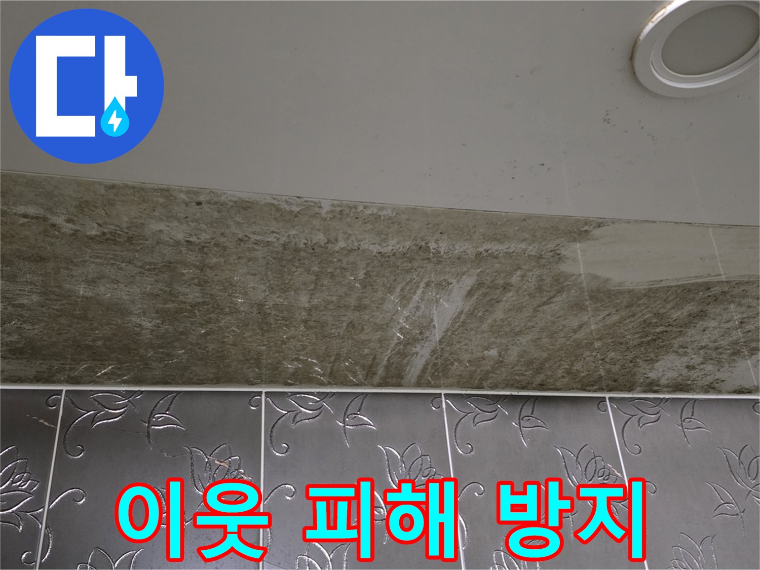 곰팡이 심각한 욕실 - 누수 해결, 완벽 차단! 이웃에게 피해 주기 전에 해결하세요!