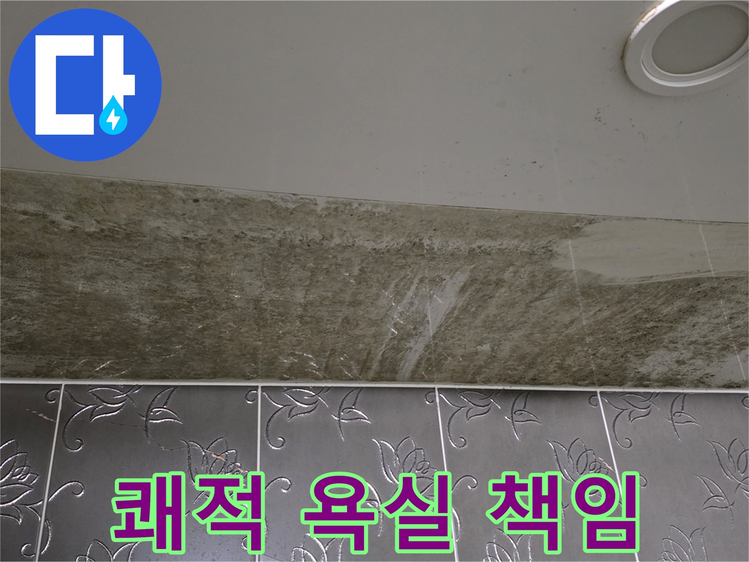 곰팡이 심한 욕실 - 곰팡이 싹 OUT! 쾌적한 욕실, 확실하게 책임지고 만들어 드립니다!