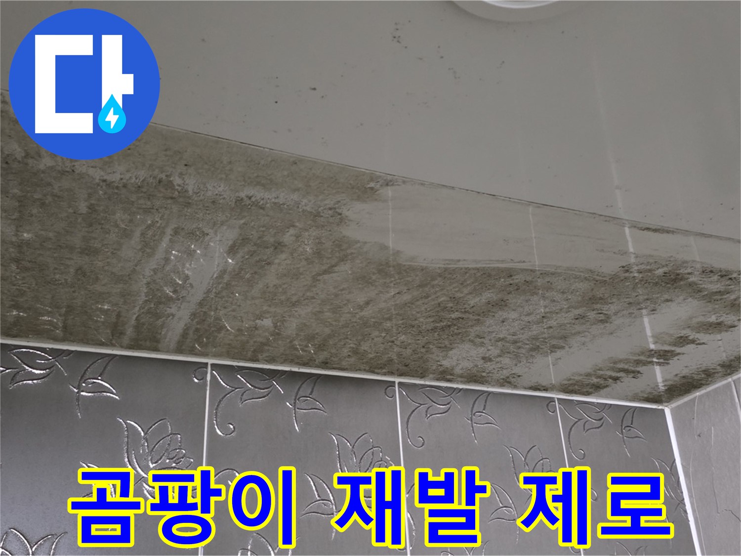 곰팡이 욕실 - 재발 걱정 없이 완벽하게 해결된 모습, 비법 공개!