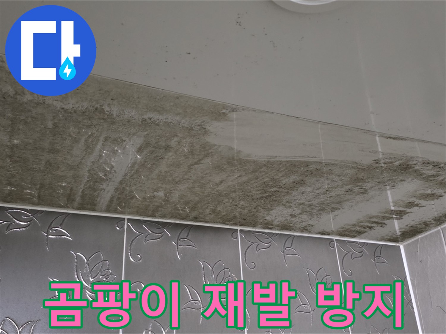 곰팡이 욕실 - 재발 방지를 위한 완벽한 시공과 책임감 있는 전문가!