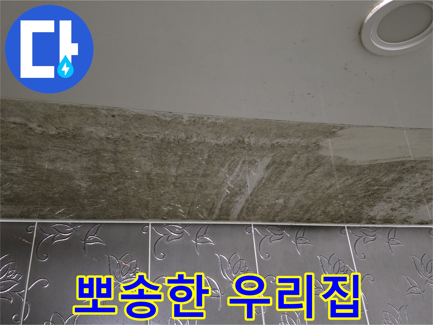 곰팡이 핀 화장실 천장 - 곰팡이 OUT, 뽀송한 우리집
