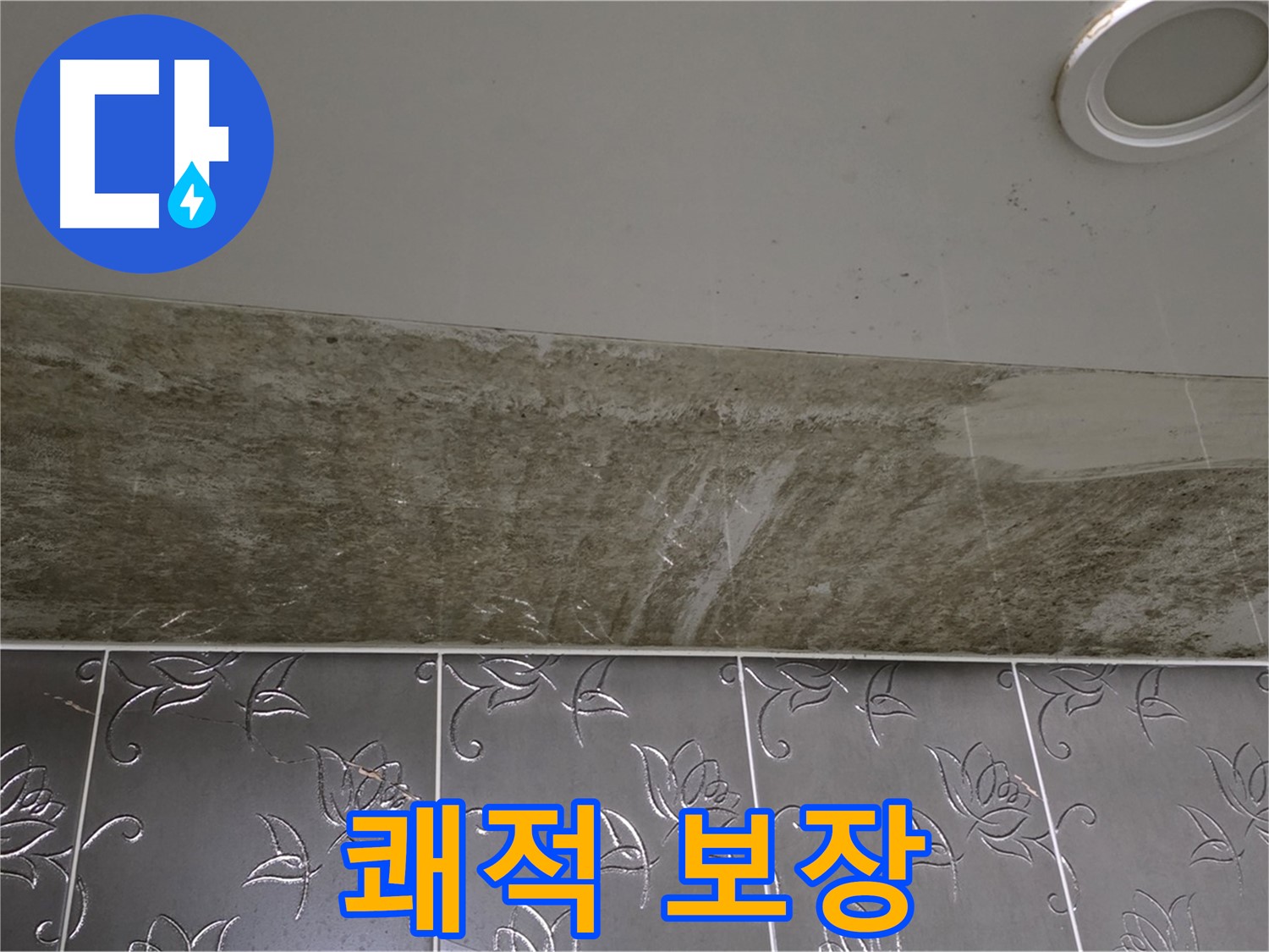 곰팡이 핀 화장실 천장 - 곰팡이 OUT, 쾌적하고 뽀송한 우리집! 확실하게 책임 시공 보장합니다!