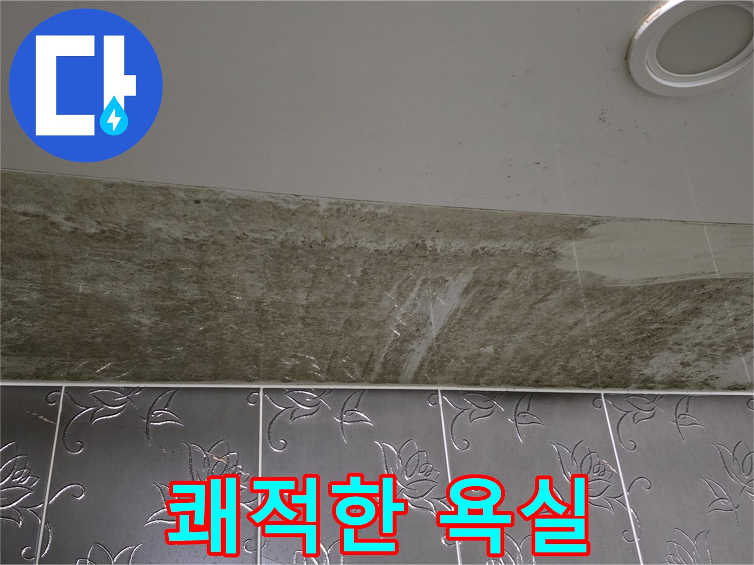 곰팡이 핀 화장실 천장 - 곰팡이 걱정 없이 쾌적한 욕실