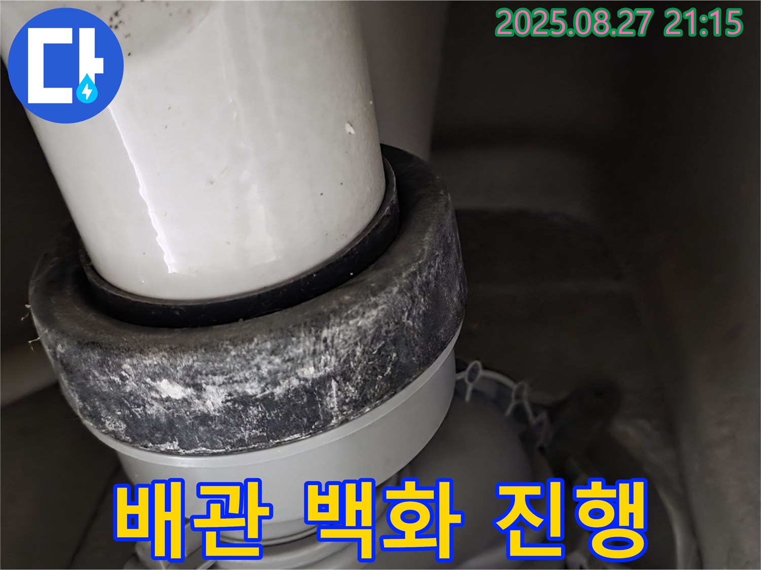 변기 하부 배관 연결 부위 백화 현상 진행 중 - 누수 의심 및 정밀 진단 및 주변 곰팡이 발생 여부 확인