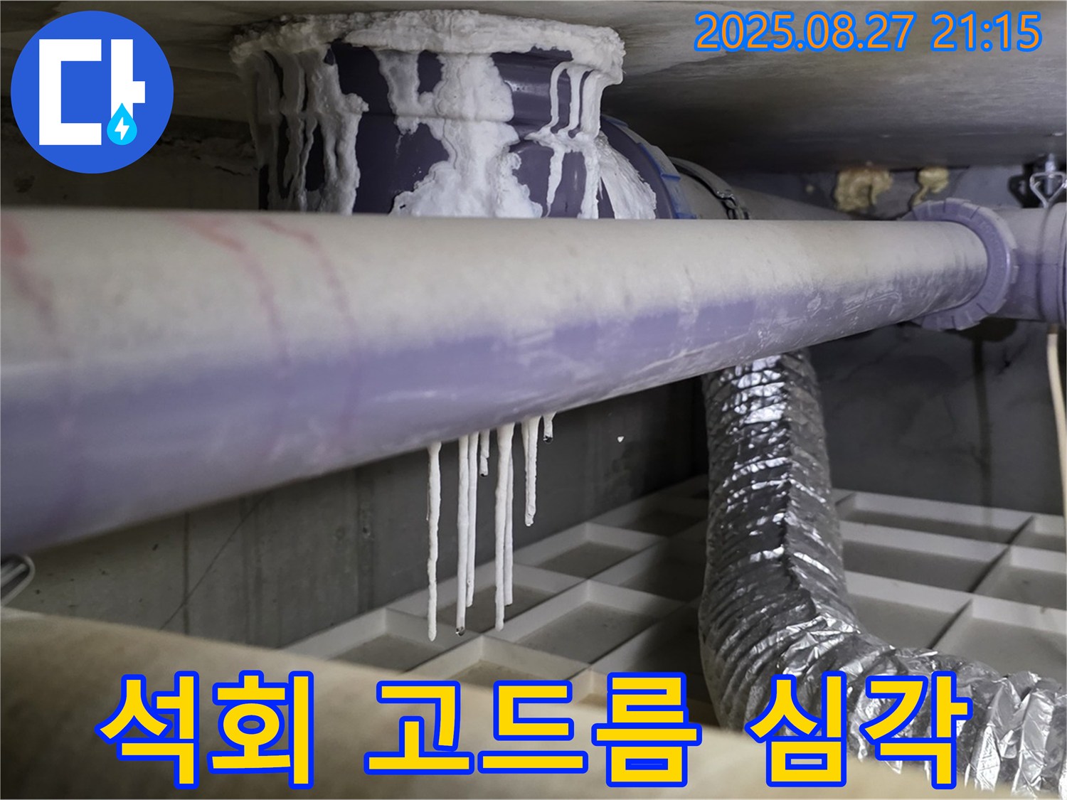 분당 운중동 누수 현장 - 심각한 석회 고드름은 오랜 기간 누수의 증거입니다. 정밀 진단이 필요합니다.