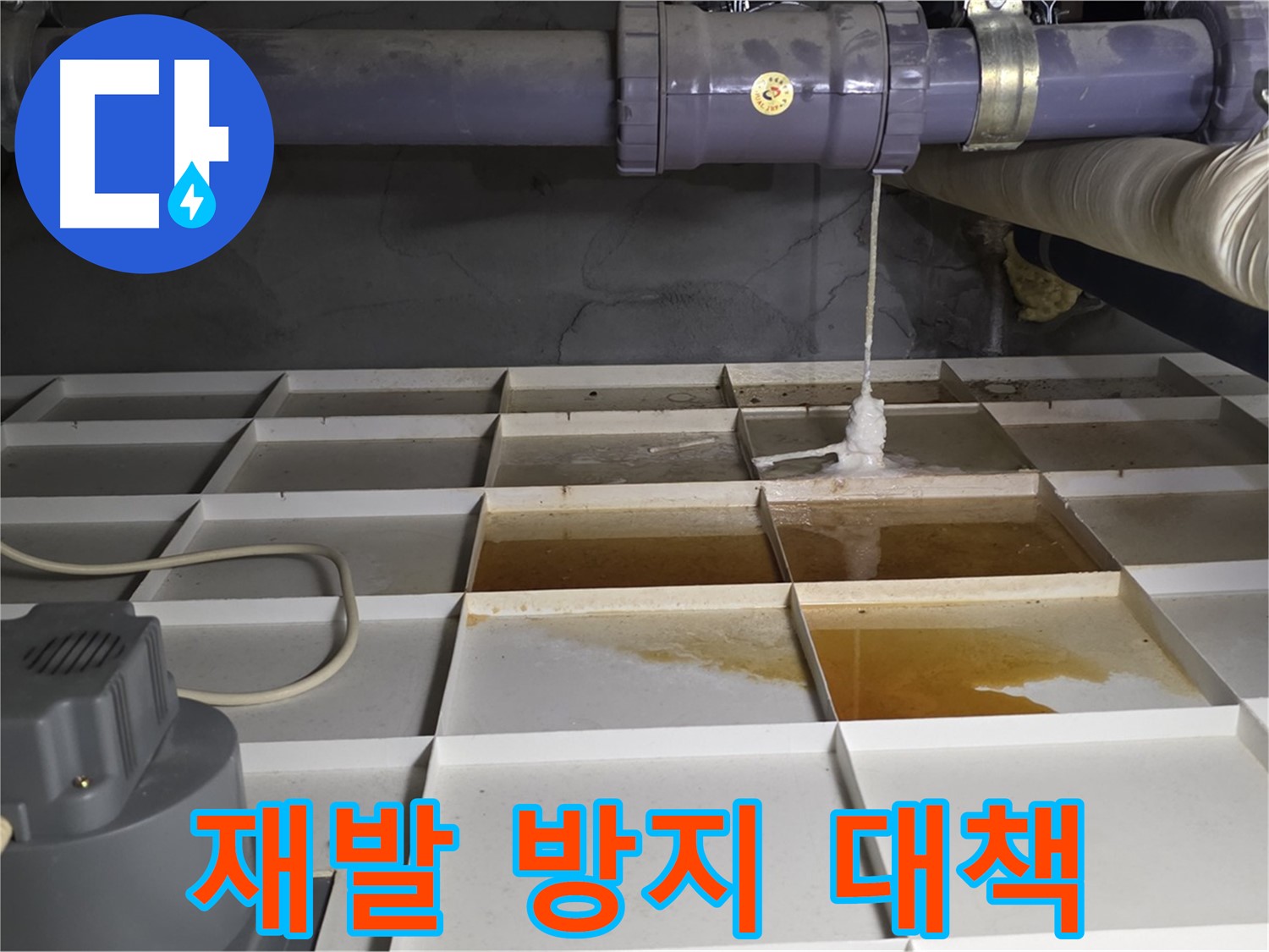 분당 운중동 산운로 121 산운마을 6단지에서 누수 재발 방지 대책을 세우는 모습 - 꼼꼼한 점검과 예방이 중요합니다.