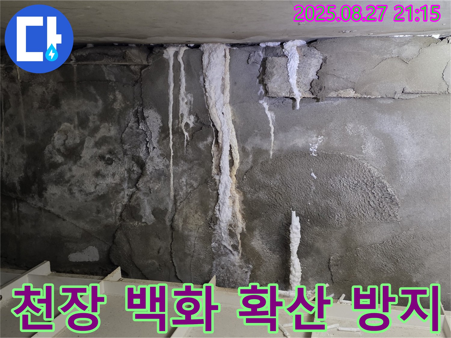 분당 운중동 산운로 121 주차장 천장 - 백화현상 확산을 막기 위한 긴급 조치 및 보수 과정을 담았습니다.