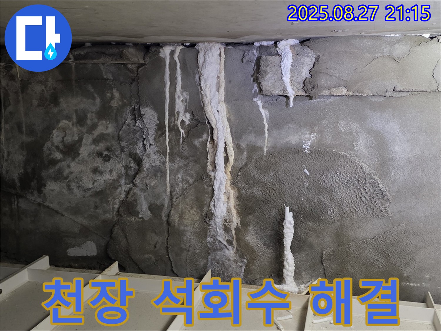 분당 운중동 산운로 121 주차장 천장 - 석회수 누수를 완벽하게 해결하고 깔끔하게 마무리된 시공 현장을 보여주는 사진입니다.
