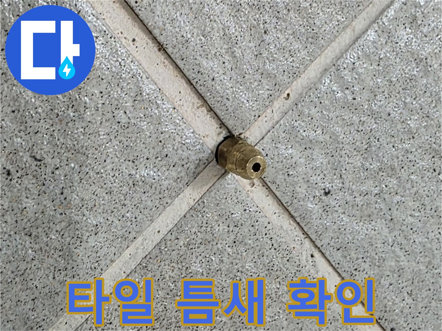 분당 운중동 산운로 누수 - 타일 틈새에서 누수 흔적 발견