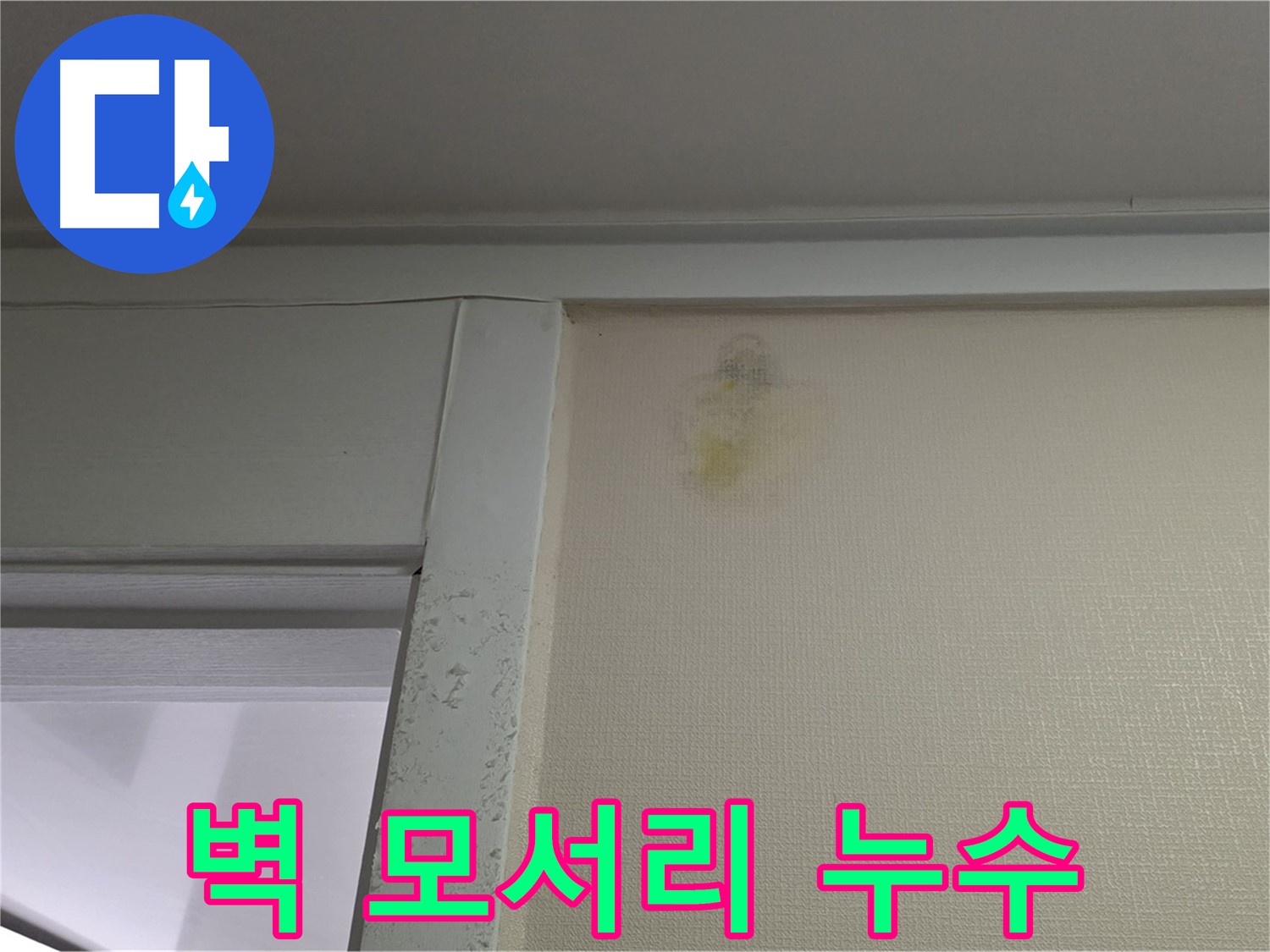 분당 운중동 산운마을 6단지 아파트 벽 모서리 누수 - 초기 누수 진단 및 원인 분석
