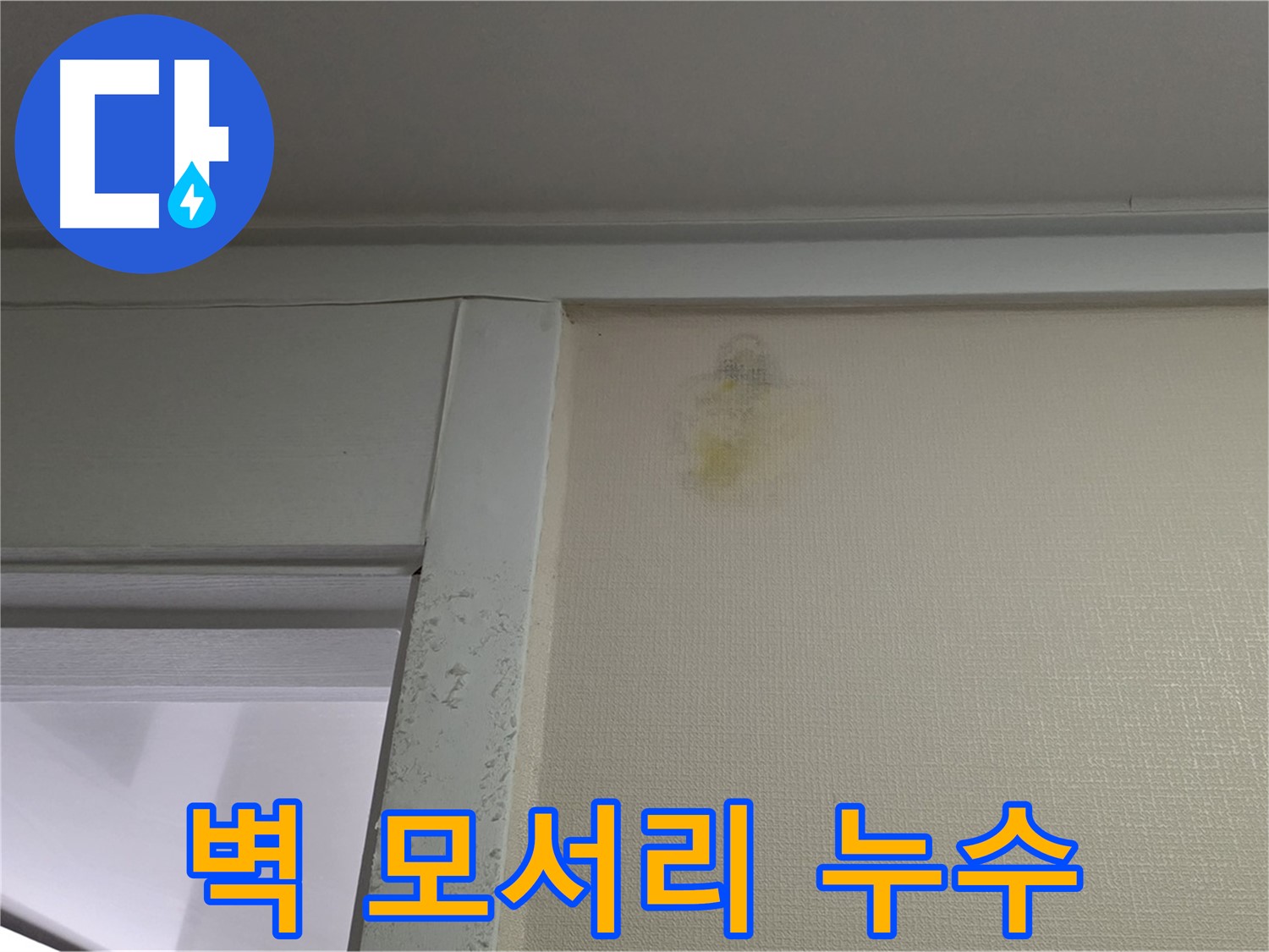 분당 운중동 산운마을 6단지 아파트 벽 모서리 누수 - 초기 누수 진단 및 원인 분석