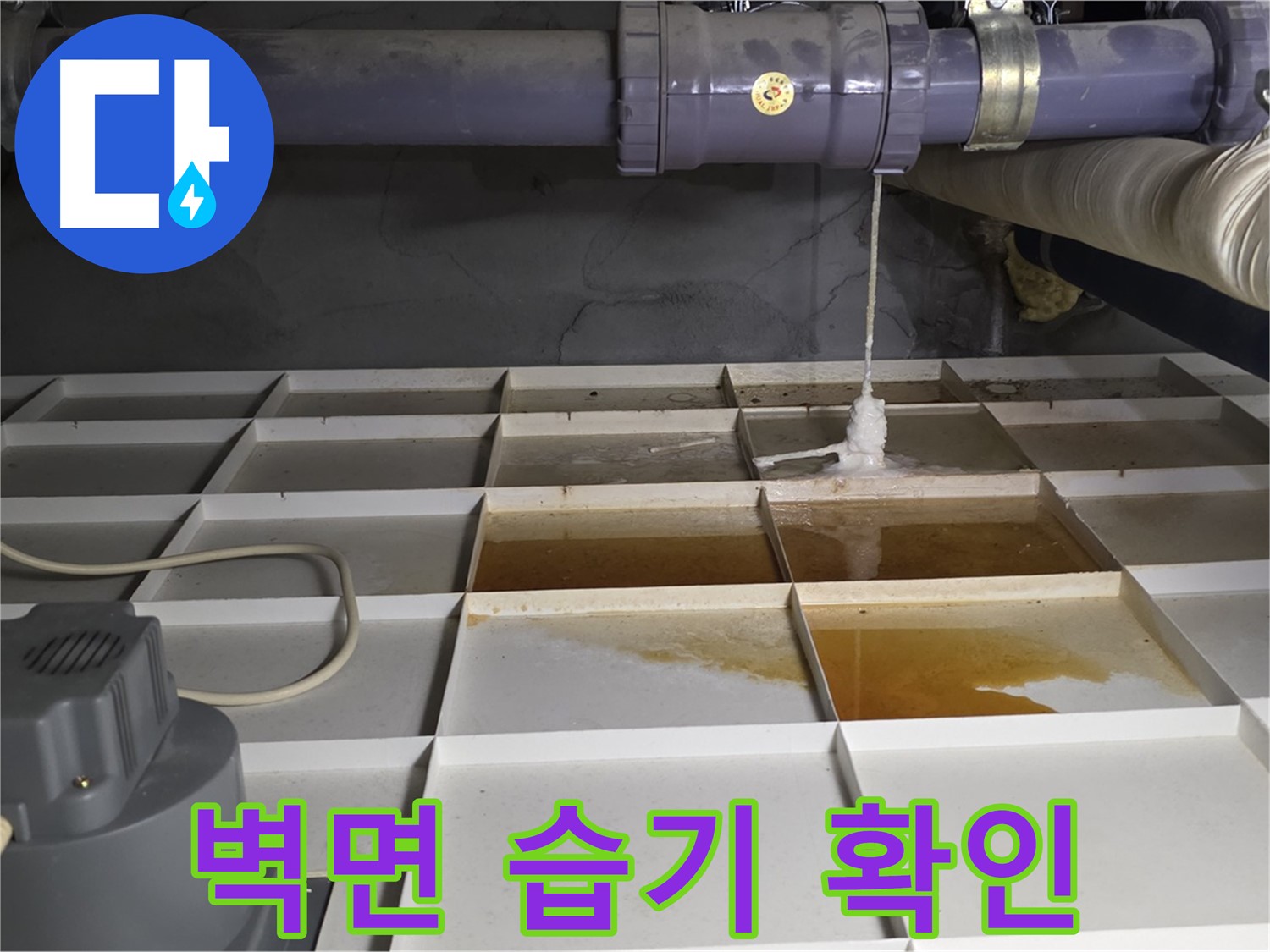 분당 운중동 산운마을 6단지 아파트에서 누수 발생 지점 주변 벽면 습기를 확인하는 모습 - 꼼꼼하게 살펴봅니다.