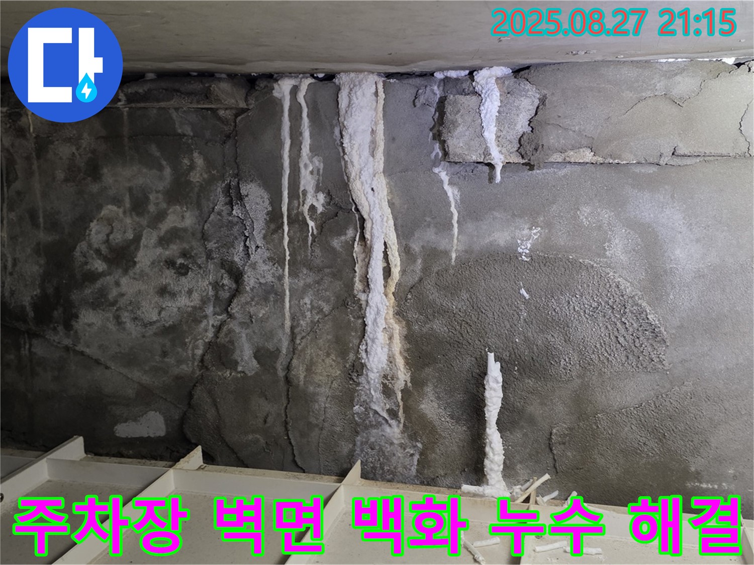 분당 운중동 산운마을 6단지 지하 주차장 벽면 - 백화현상과 누수 문제를 완벽하게 해결하고, 더 이상 두려워할 필요 없는 쾌적한 주차 환경을 보여줍니다.