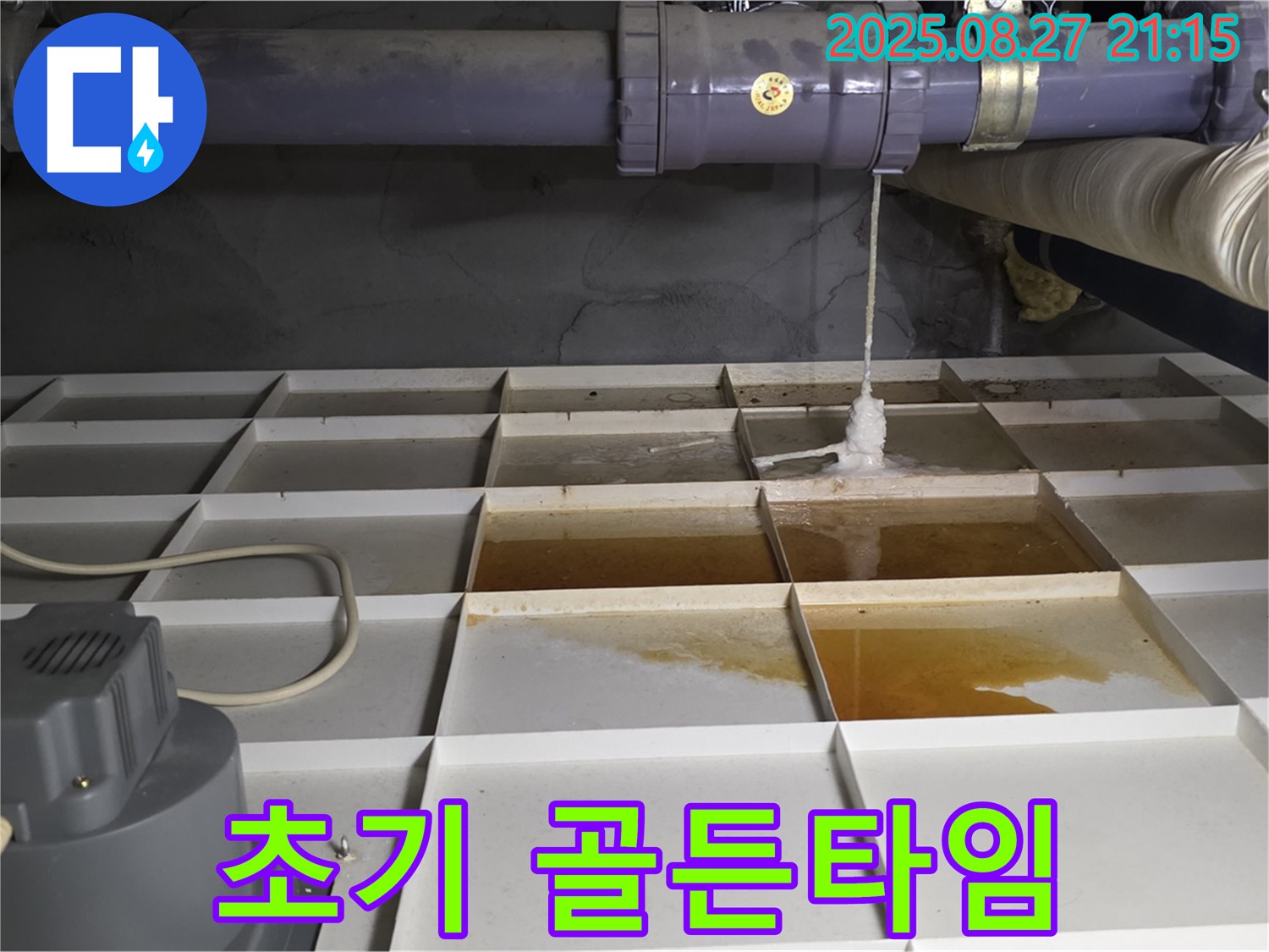 분당 운중동 산운마을 - 누수 발생 초기 골든타임, 놓치지 마세요!