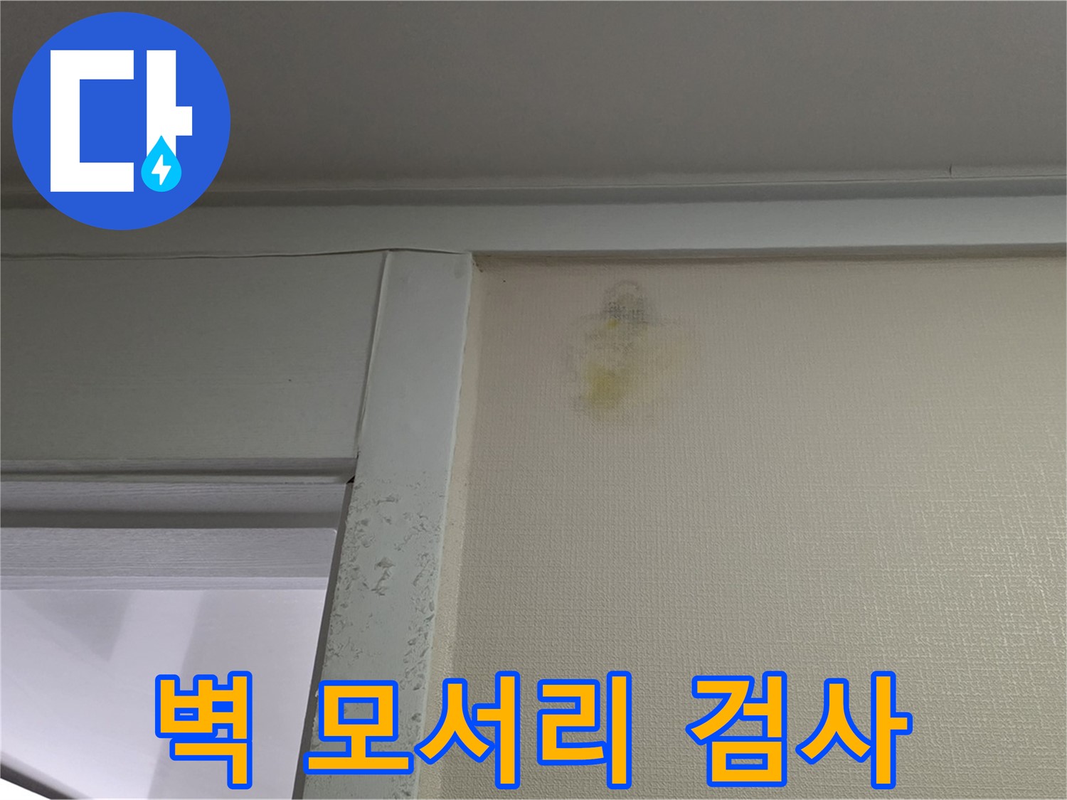 분당 운중동 산운마을 아파트 - 벽 모서리 변색 초기 누수 의심, 정밀 진단