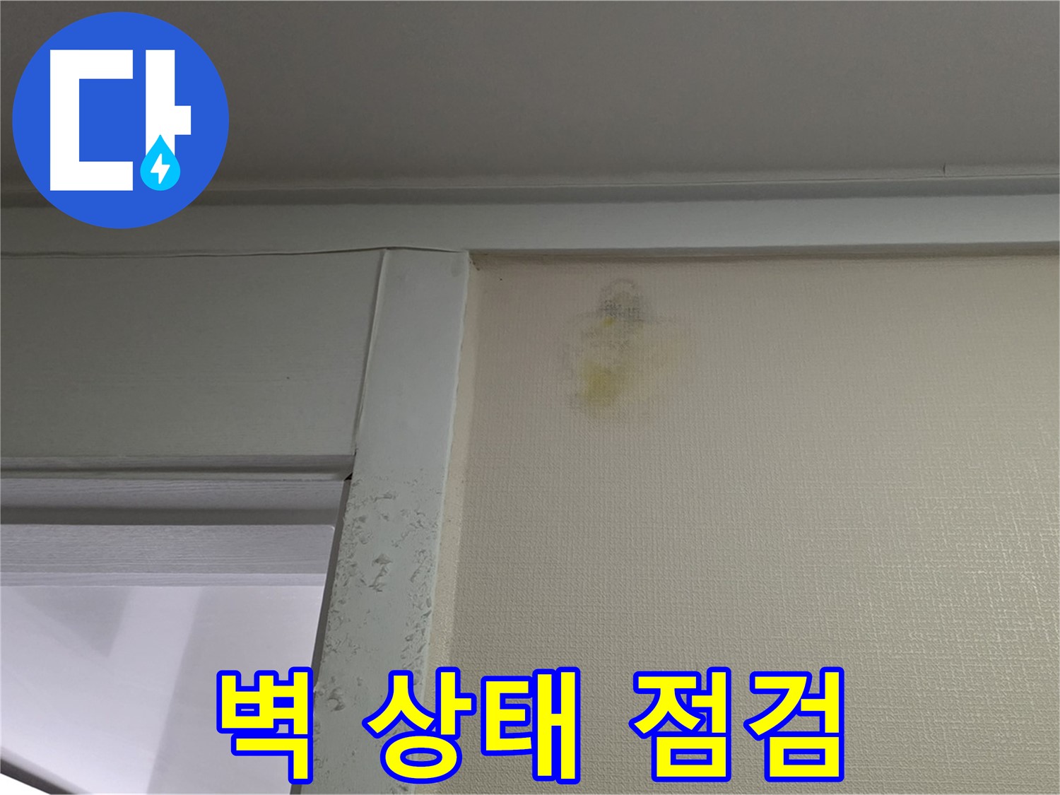 분당 운중동 산운마을 아파트 벽 상태 점검 - 초기 누수 진단