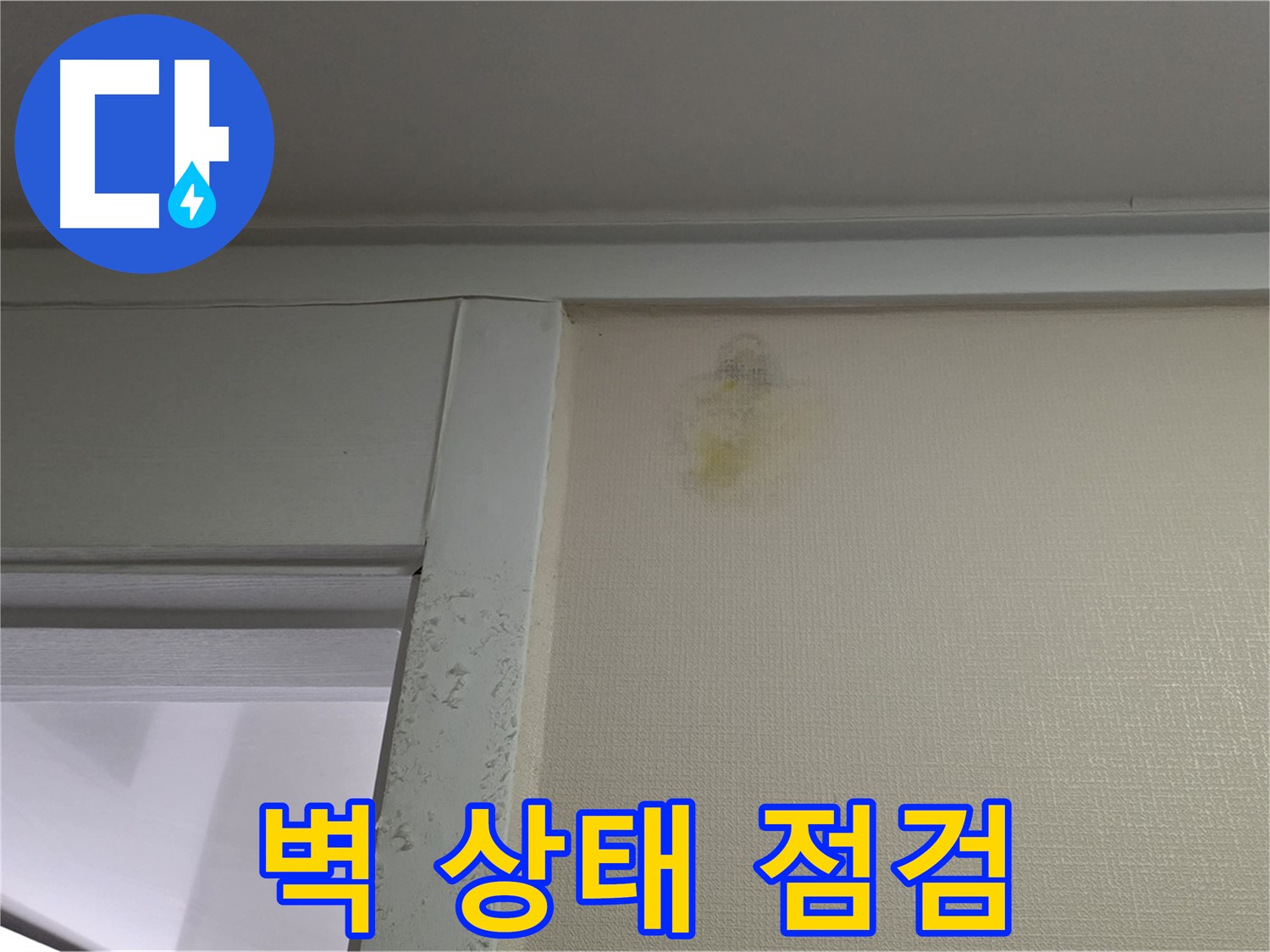 분당 운중동 산운마을 아파트 벽 상태 점검 - 초기 누수 진단 및 꼼꼼한 점검 진행