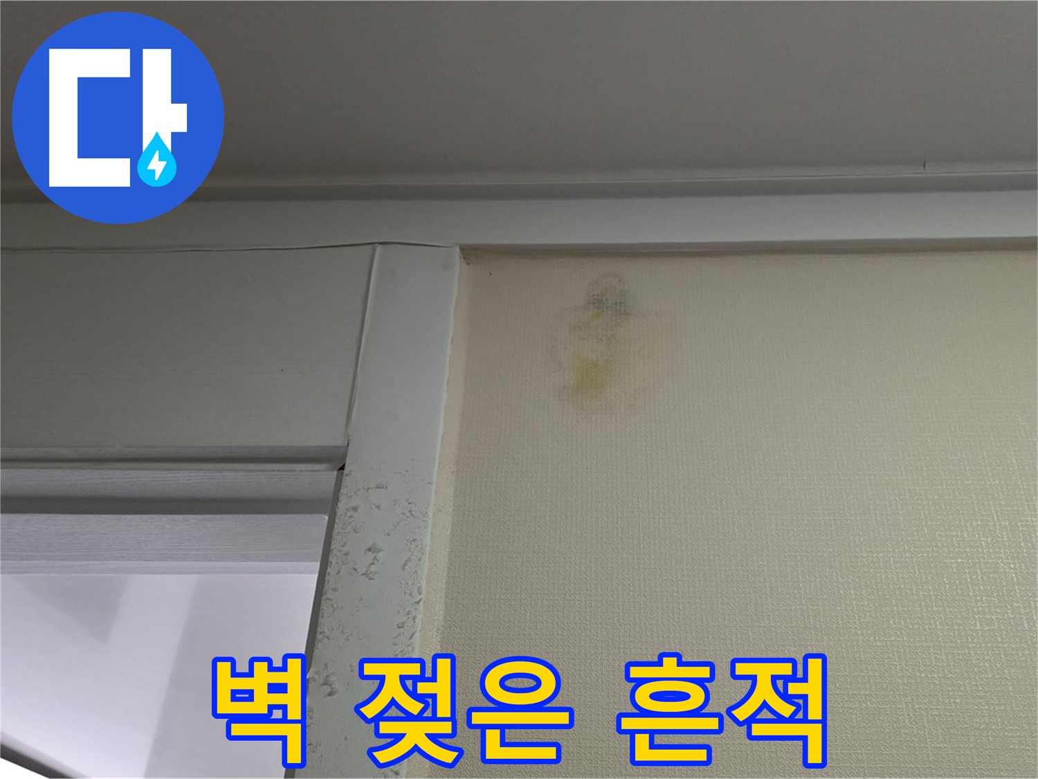분당 운중동 산운마을 아파트 벽 젖은 흔적 - 누수 가능성 진단 및 습도 측정