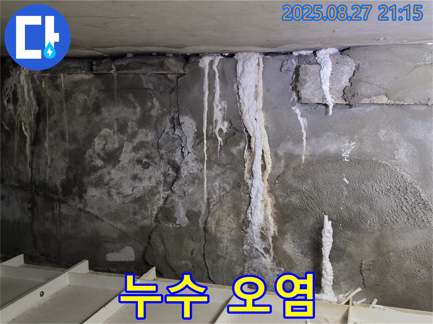 분당 운중동 산운마을6단지 콘크리트 누수 - 누수 오염, 곰팡이 번식