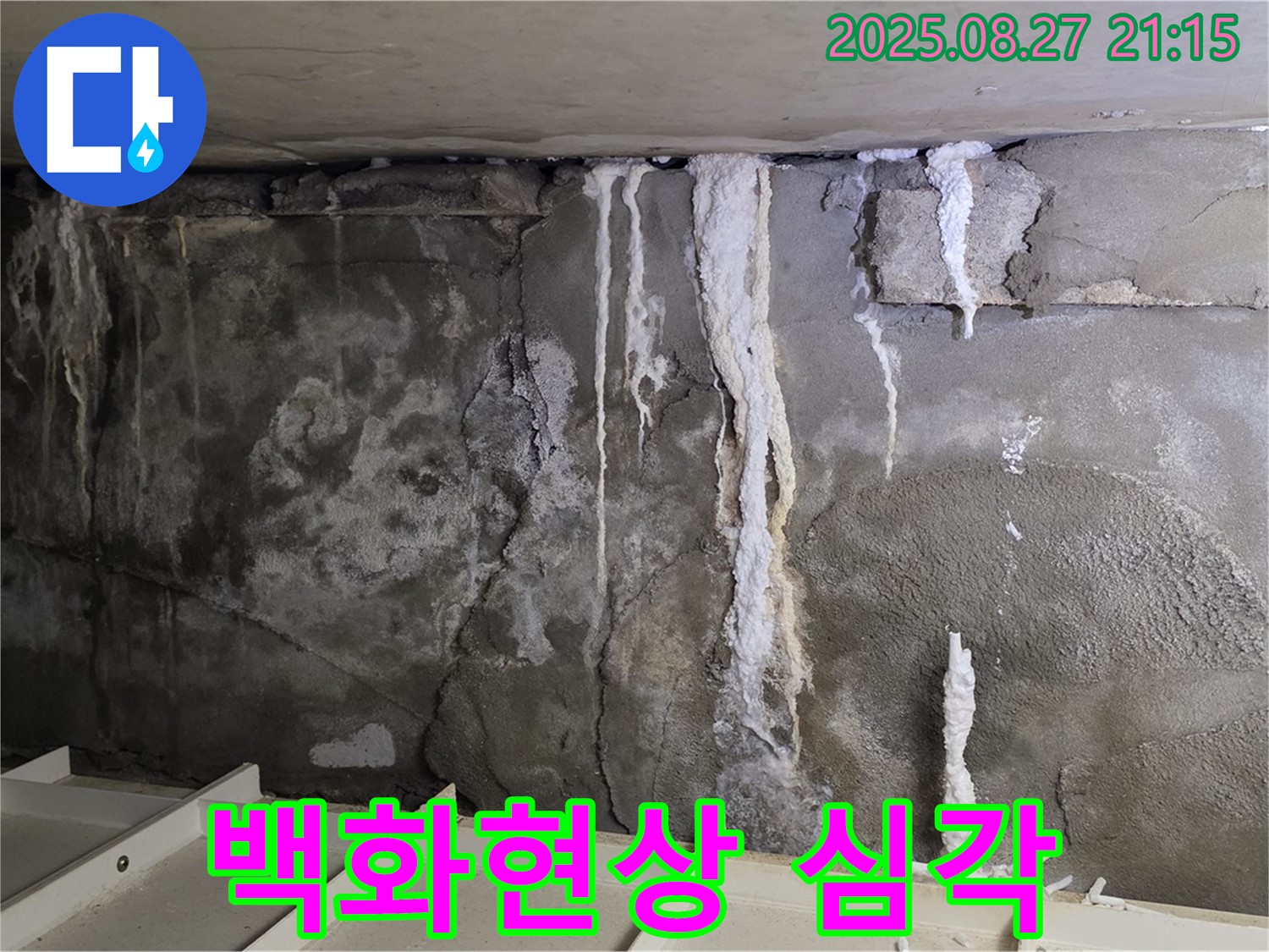 분당 운중동 산운마을6단지 콘크리트 누수 - 심각한 백화현상 진행 중