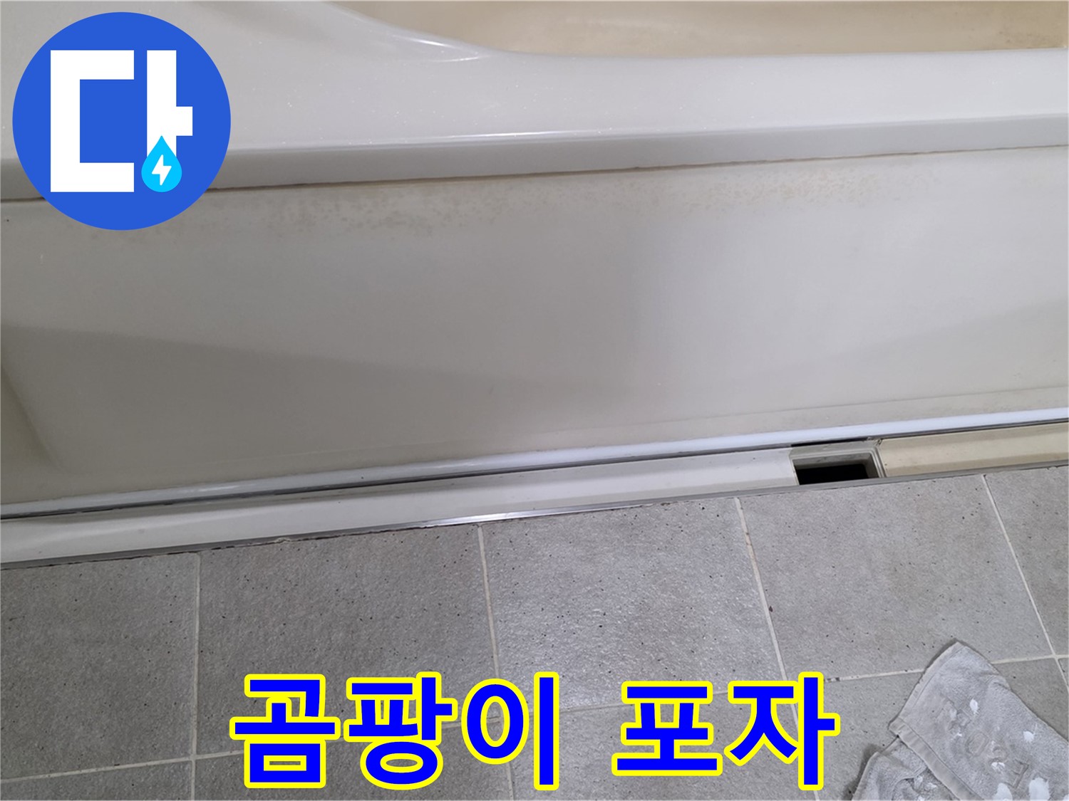 분당 운중동 산운마을에서 욕조 점검구 주변 곰팡이 포자를 확인하는 모습입니다 - 곰팡이 포자는 습기와 누수의 증거입니다.