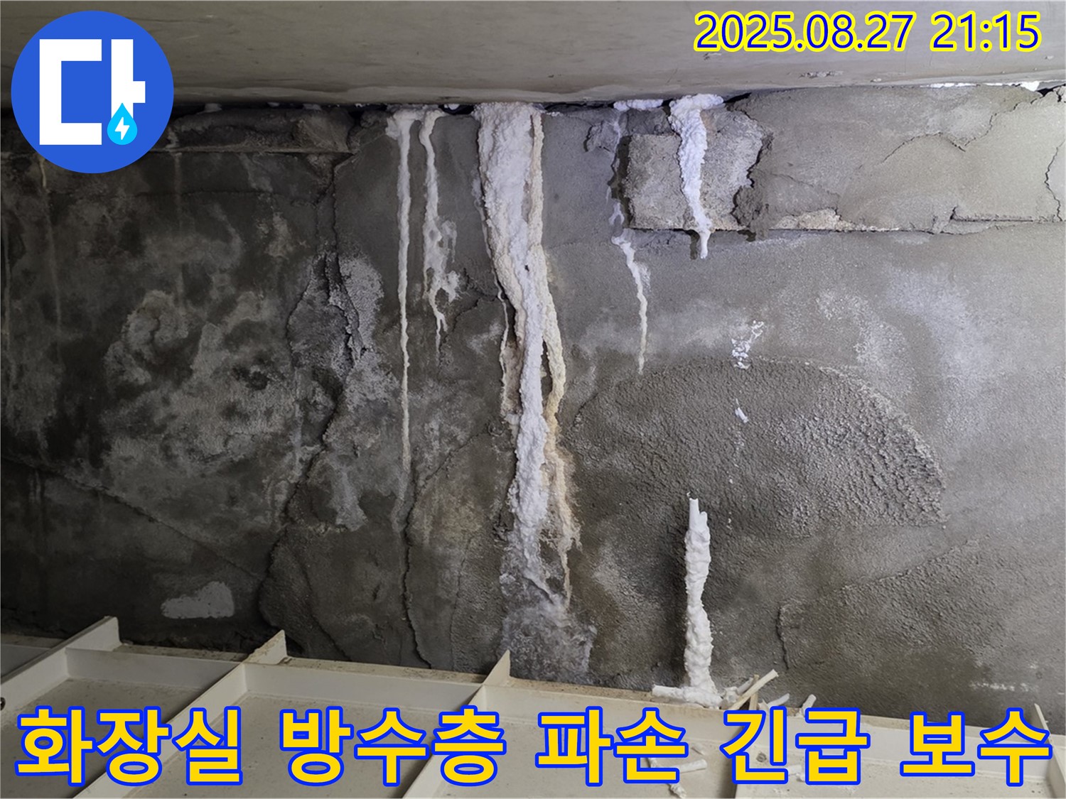 분당 운중동 아파트 화장실 방수층 파손으로 인한 긴급 누수 보수 현장 - 신속하고 정확한 시공으로 누수 피해를 최소화합니다.