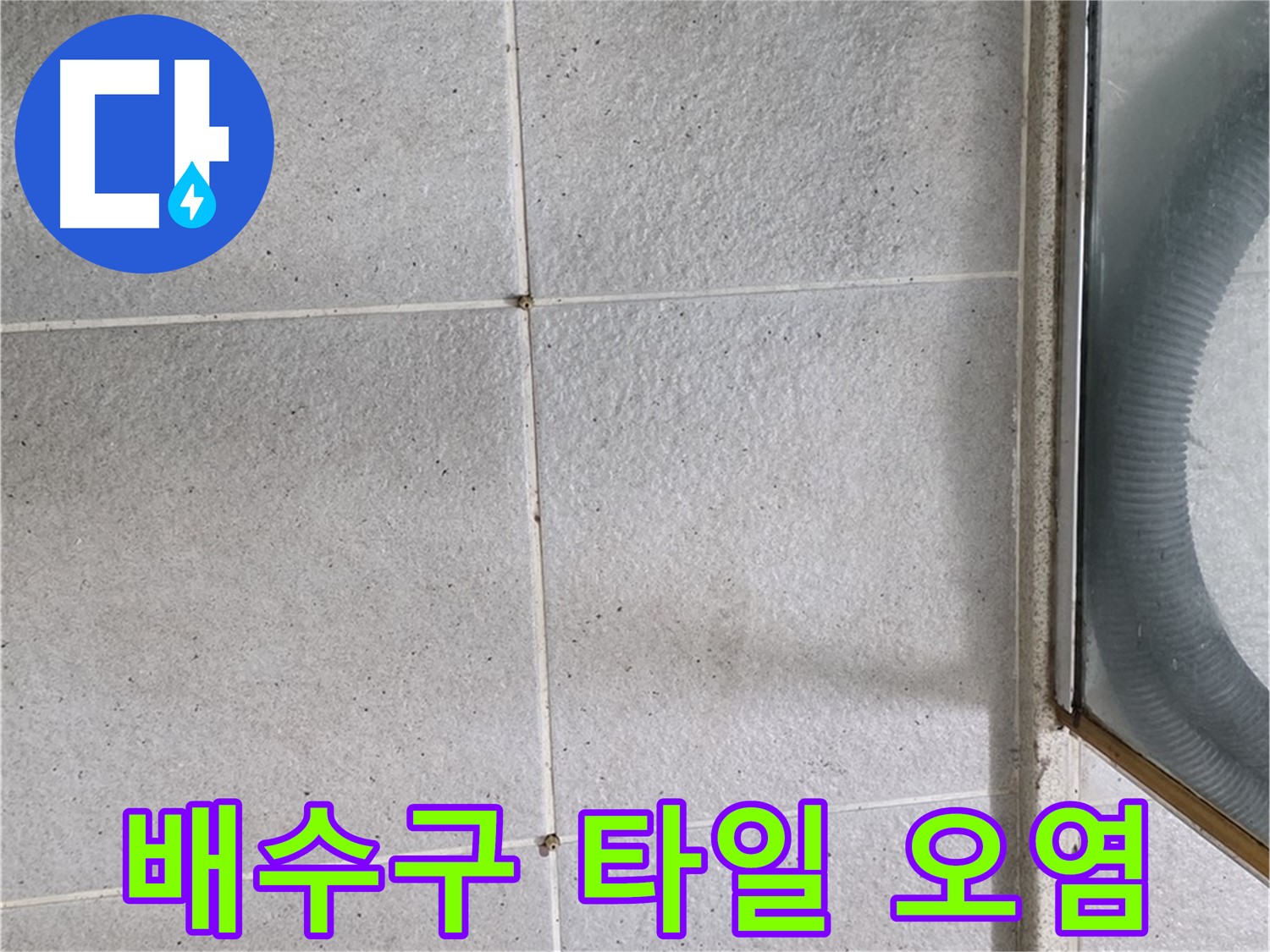 분당 운중동 욕실 배수구 주변 - 타일 틈새 오염은 배수 불량과 누수의 원인이 될 수 있습니다.