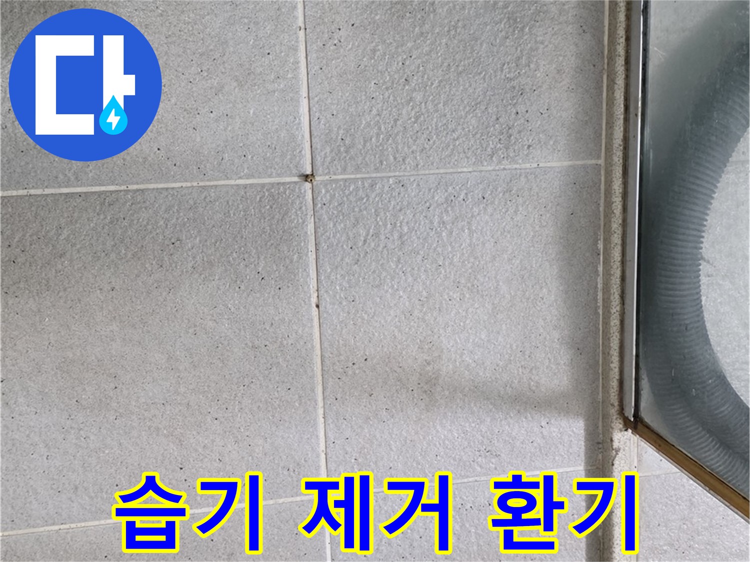 분당 운중동 욕실 사용 후 습기 제거 - 욕실 사용 후 습기를 제거하고 환기하는 것이 누수 예방에 중요합니다.