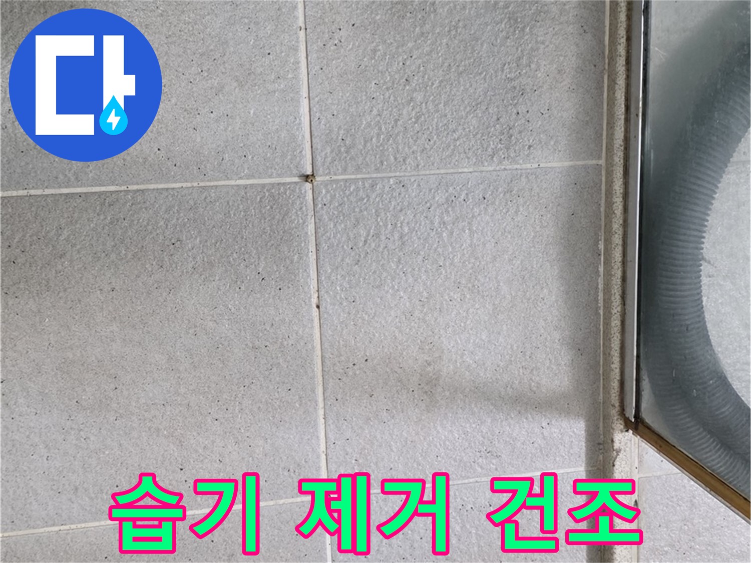 분당 운중동 욕실 - 욕실 용품 건조와 습기 제거는 곰팡이와 누수 예방의 기본입니다.