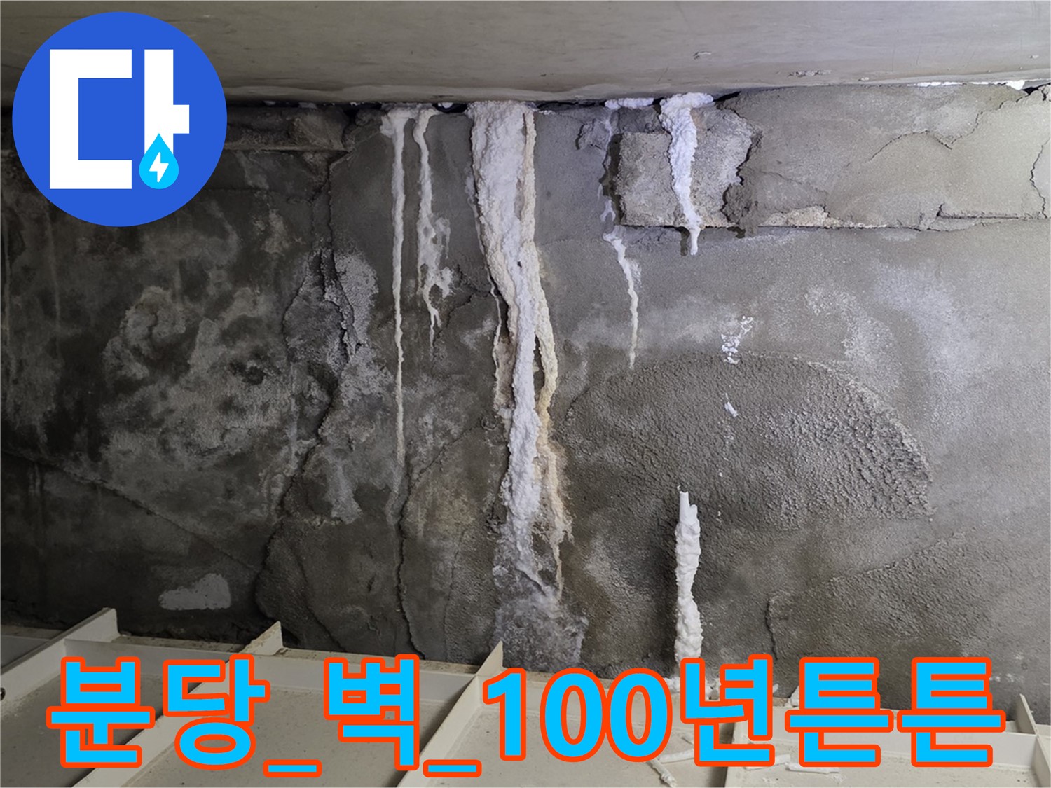 분당 콘크리트 벽 - 건물 늙음, 석회수 줄줄, 보강 공사 100년 튼튼