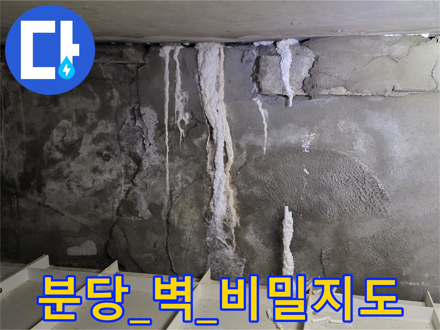 분당 콘크리트 벽 - 석회수 흔적, 숨겨진 누수 비밀지도