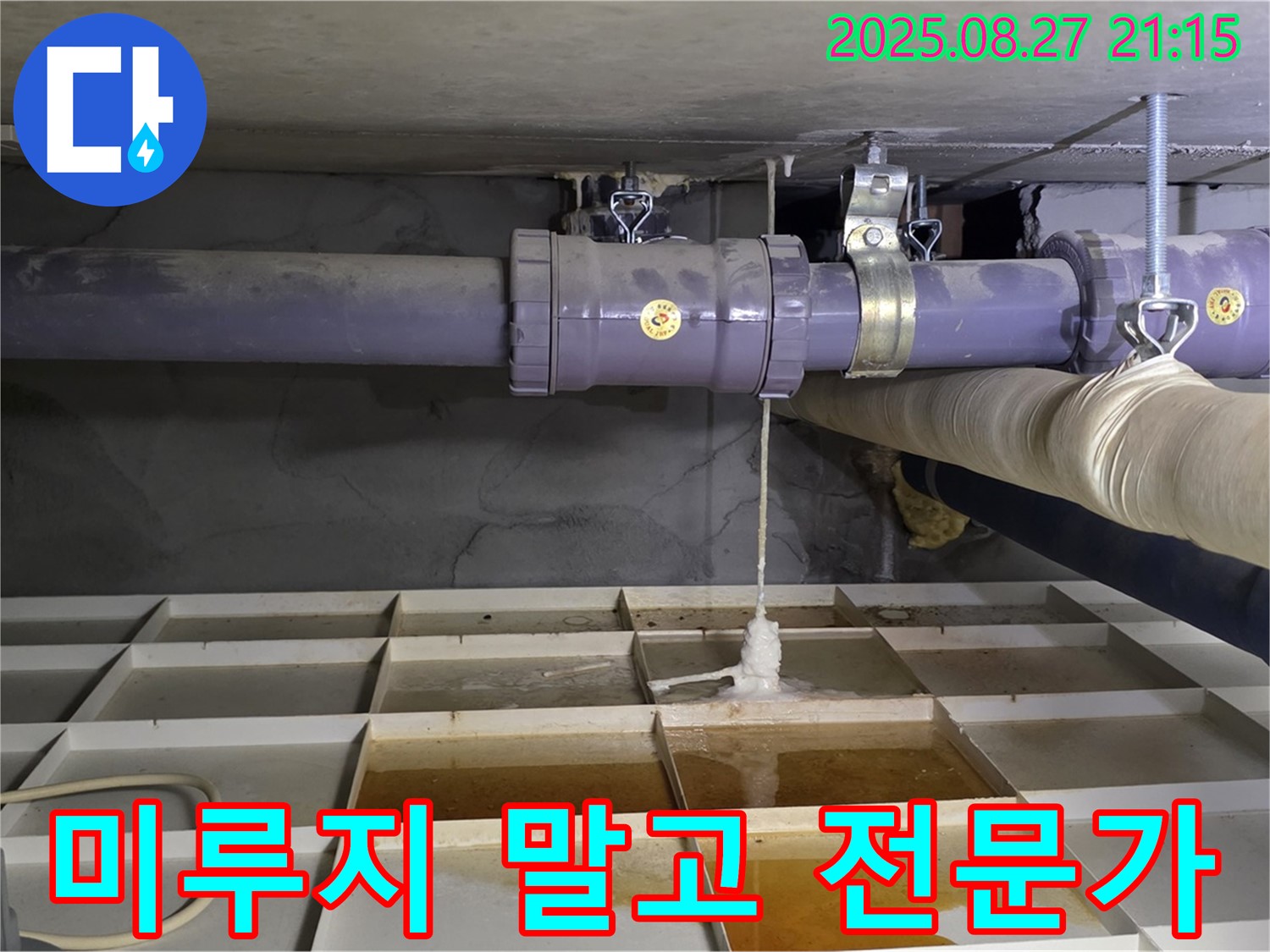 분당구 운중동 산운마을 6단지 - 누수, 이제 미루지 말고 전문가에게 맡기세요!