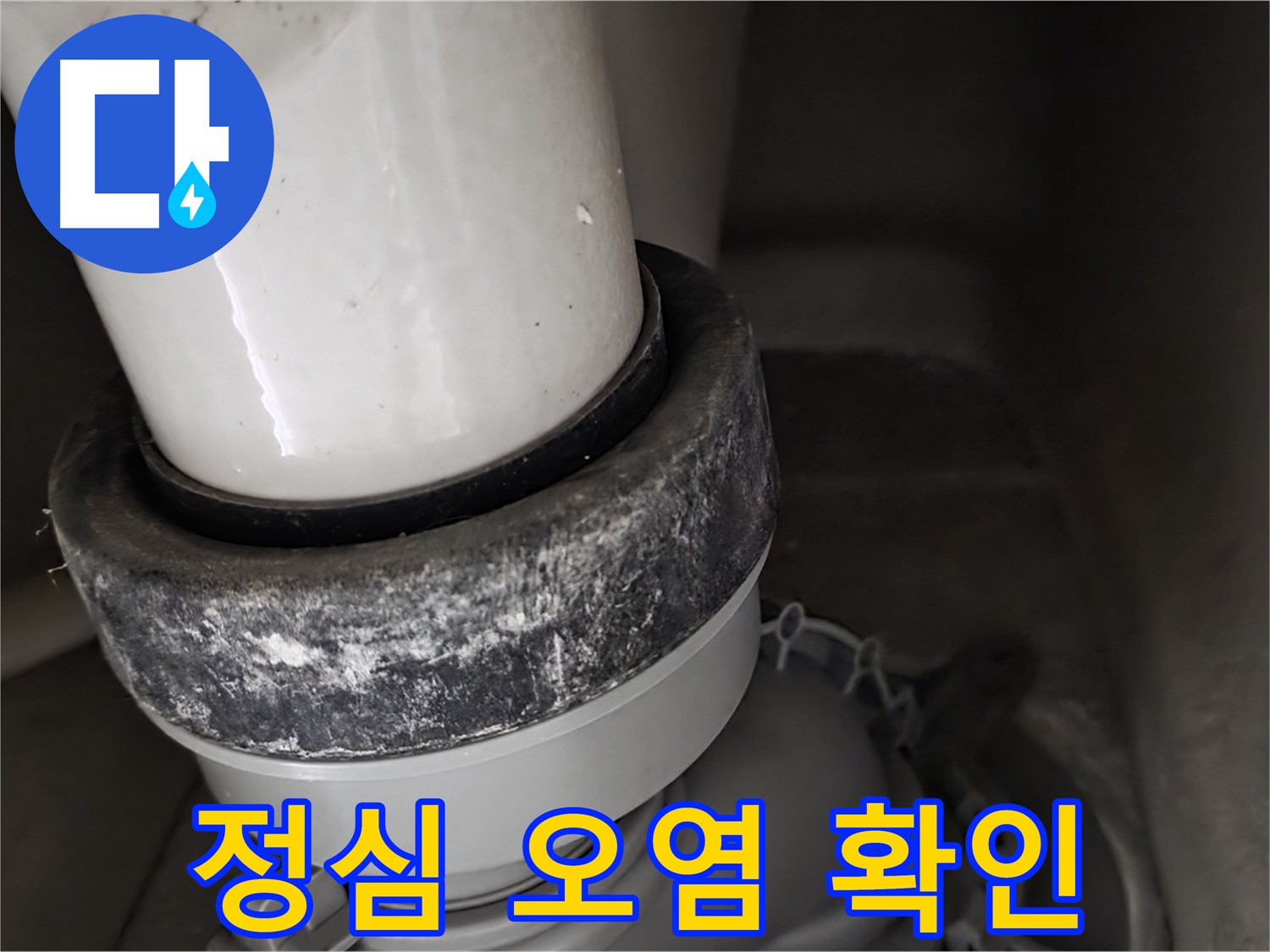 성남 분당 운중동 산운마을 변기 누수 - 오염된 정심 상태 확인