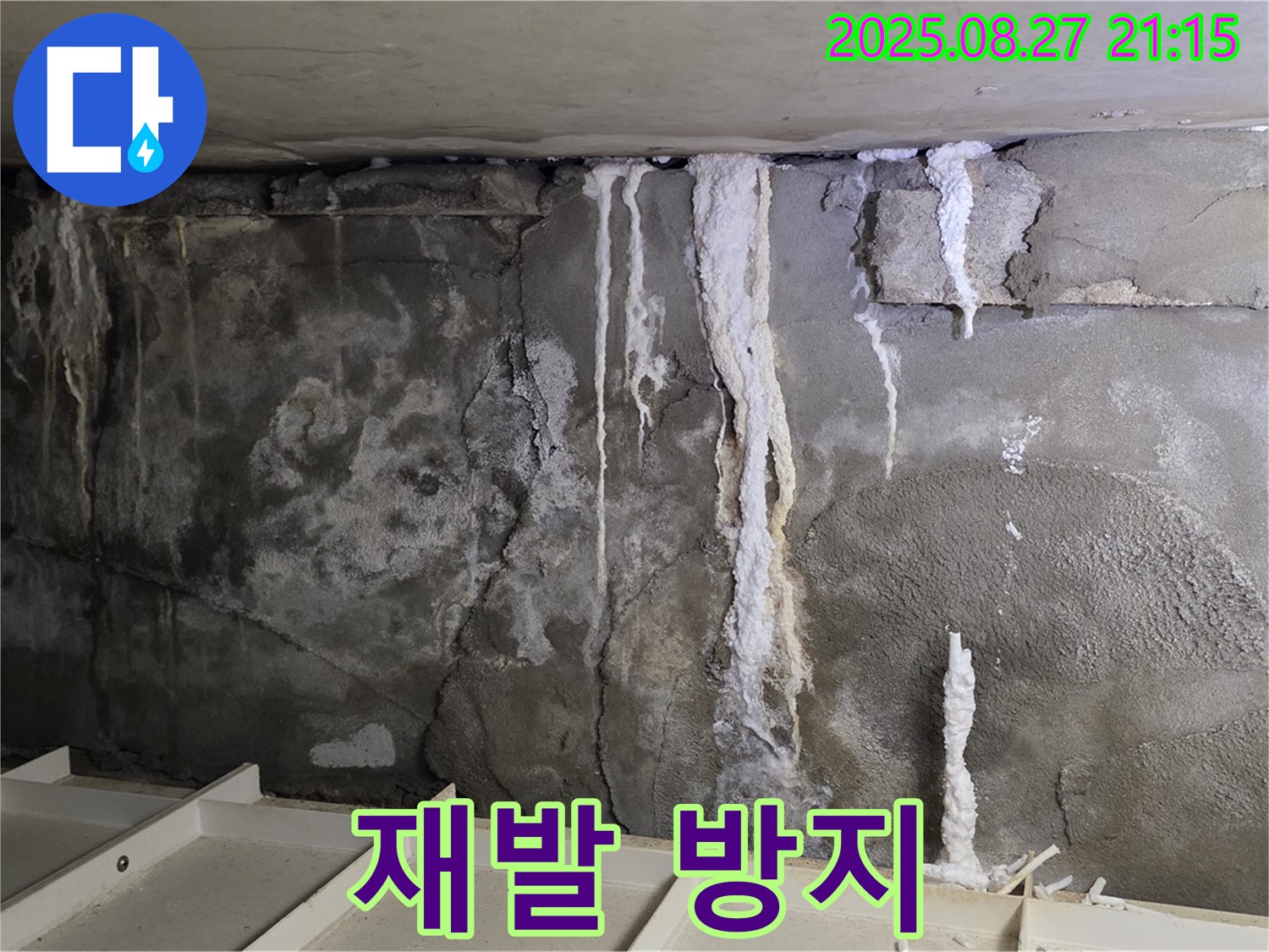 성남 분당 운중동 산운마을6단지 콘크리트 누수 - 누수 재발 방지, 완벽한 시공 약속