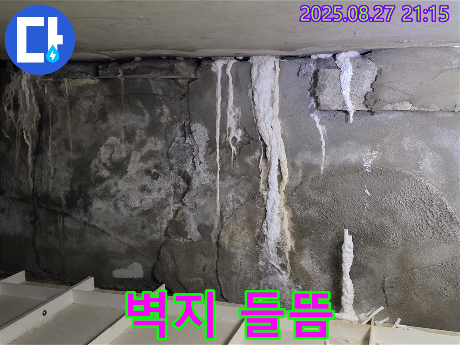 성남 분당 운중동 산운마을6단지 콘크리트 누수 - 벽지 들뜸, 누수 의심