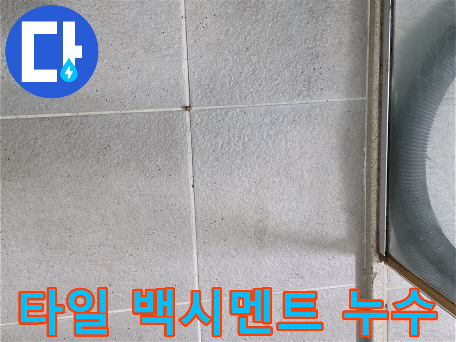 성남 분당구 운중동 욕실 타일 사이 백시멘트 들뜸으로 인한 누수 - 문제 부분을 정확히 진단하고 보수하는 과정을 보여줍니다.