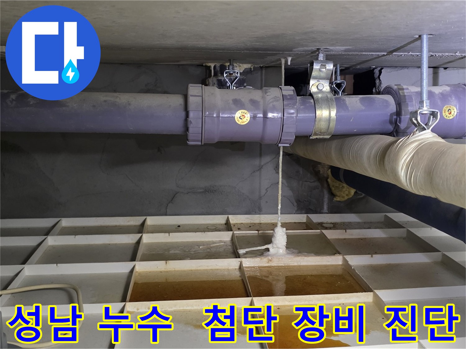 성남 산운마을 6단지 배관 누수 - 연결 부위 문제, 최첨단 장비로 속 시원히 진단