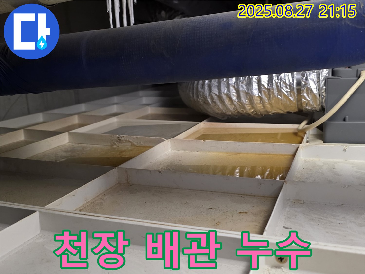 성남 운중동 산운마을 누수 현장 - 천장 배관에서 누수가 발생한 긴급 상황을 보여줍니다 - 빠른 조치가 필요합니다.