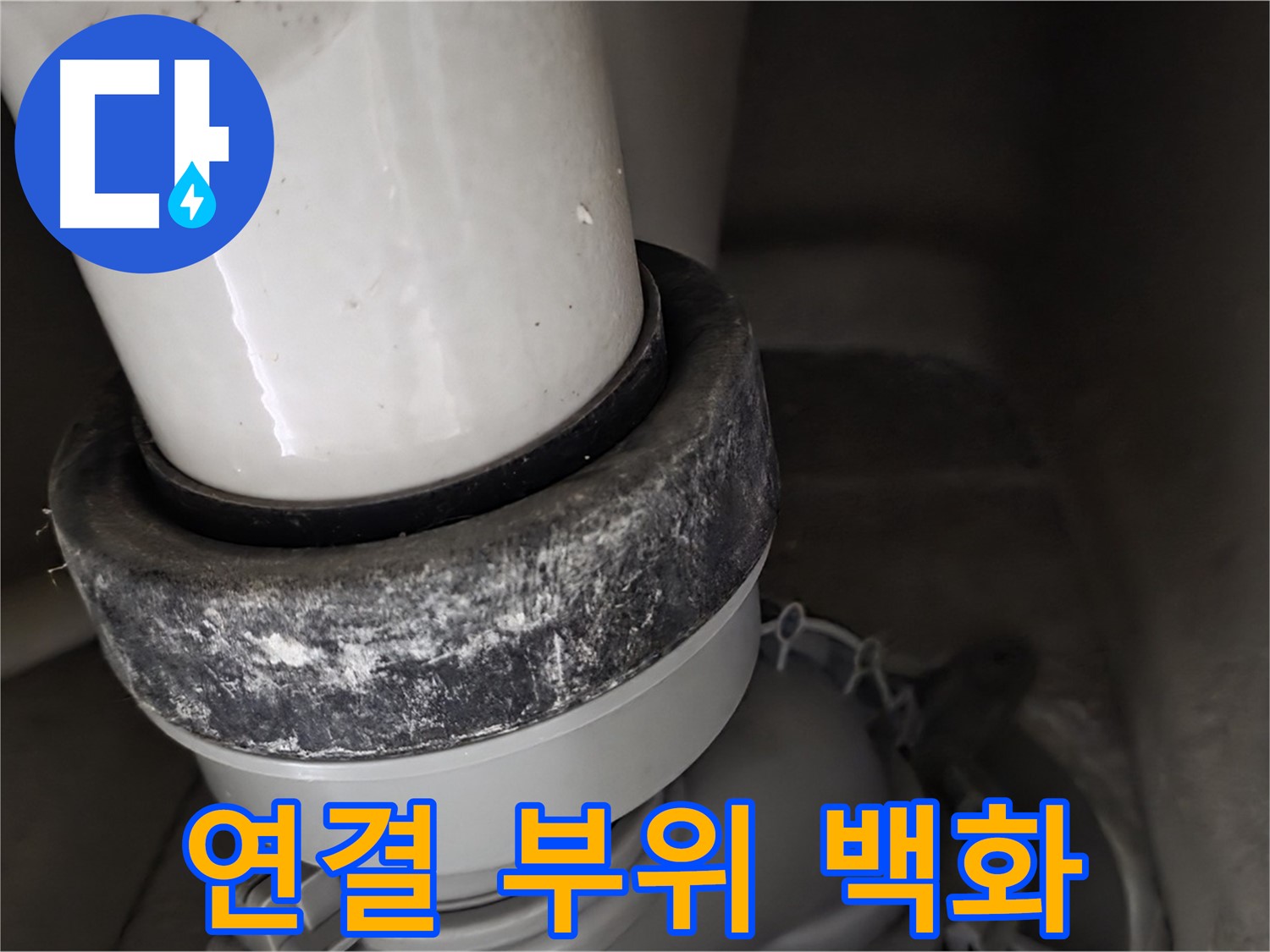 성남시 분당구 운중동 산운로 변기 누수 - 연결 부위 백화 현상을 집중적으로 확인합니다