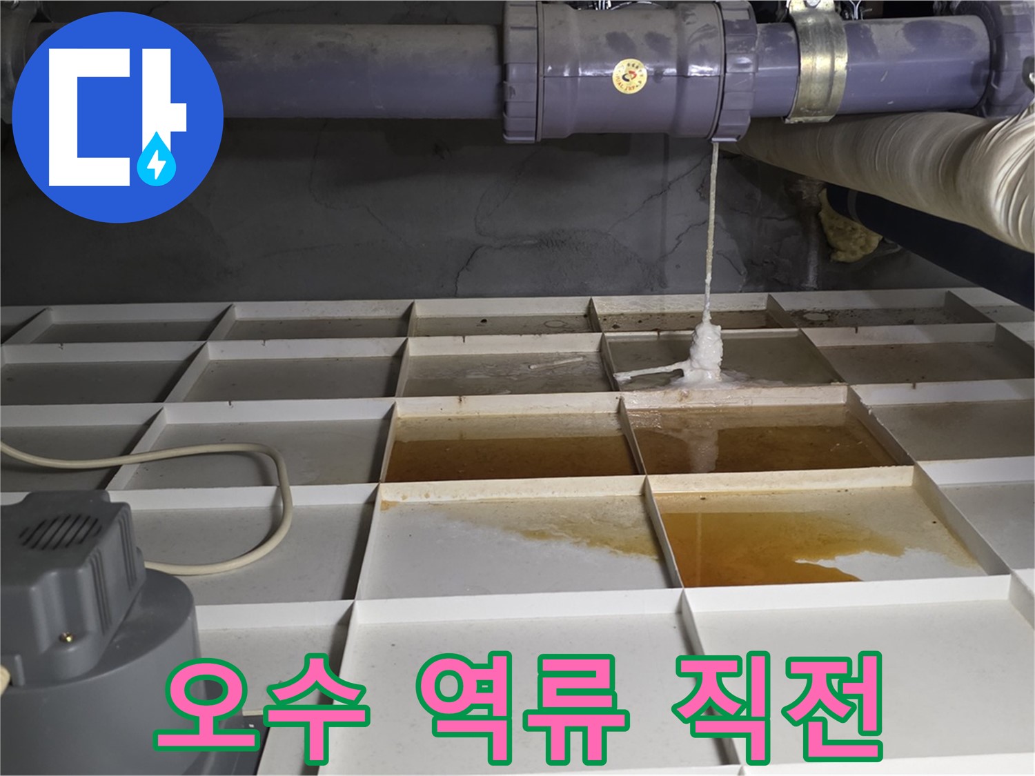 성남시 분당구 운중동 산운마을 601동 오수 배관 역류 직전 상황 - 꼼꼼한 점검으로 큰 피해를 막을 수 있습니다.