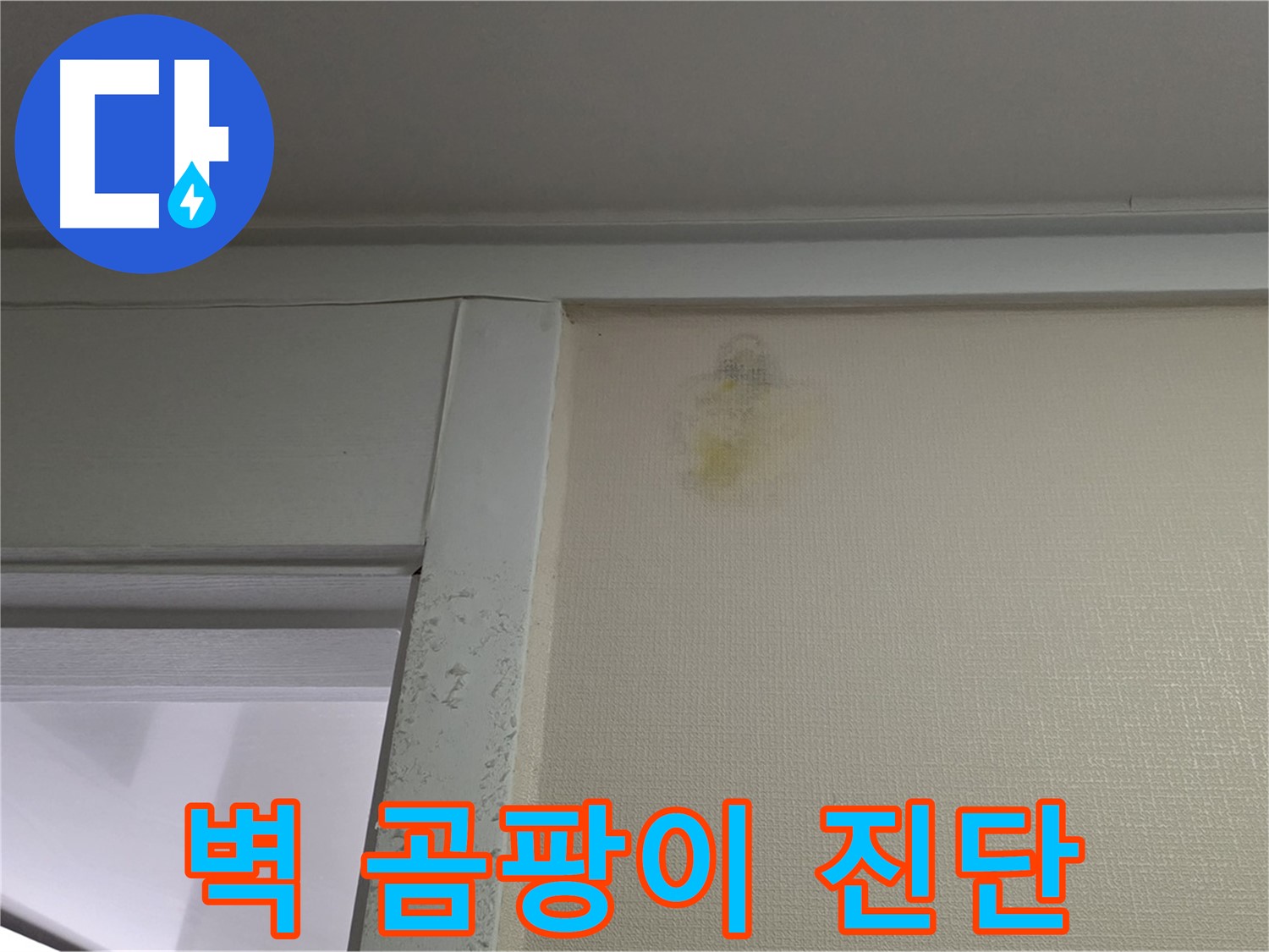 성남시 분당구 운중동 산운마을 아파트 - 벽 곰팡이 누수 초기 의심