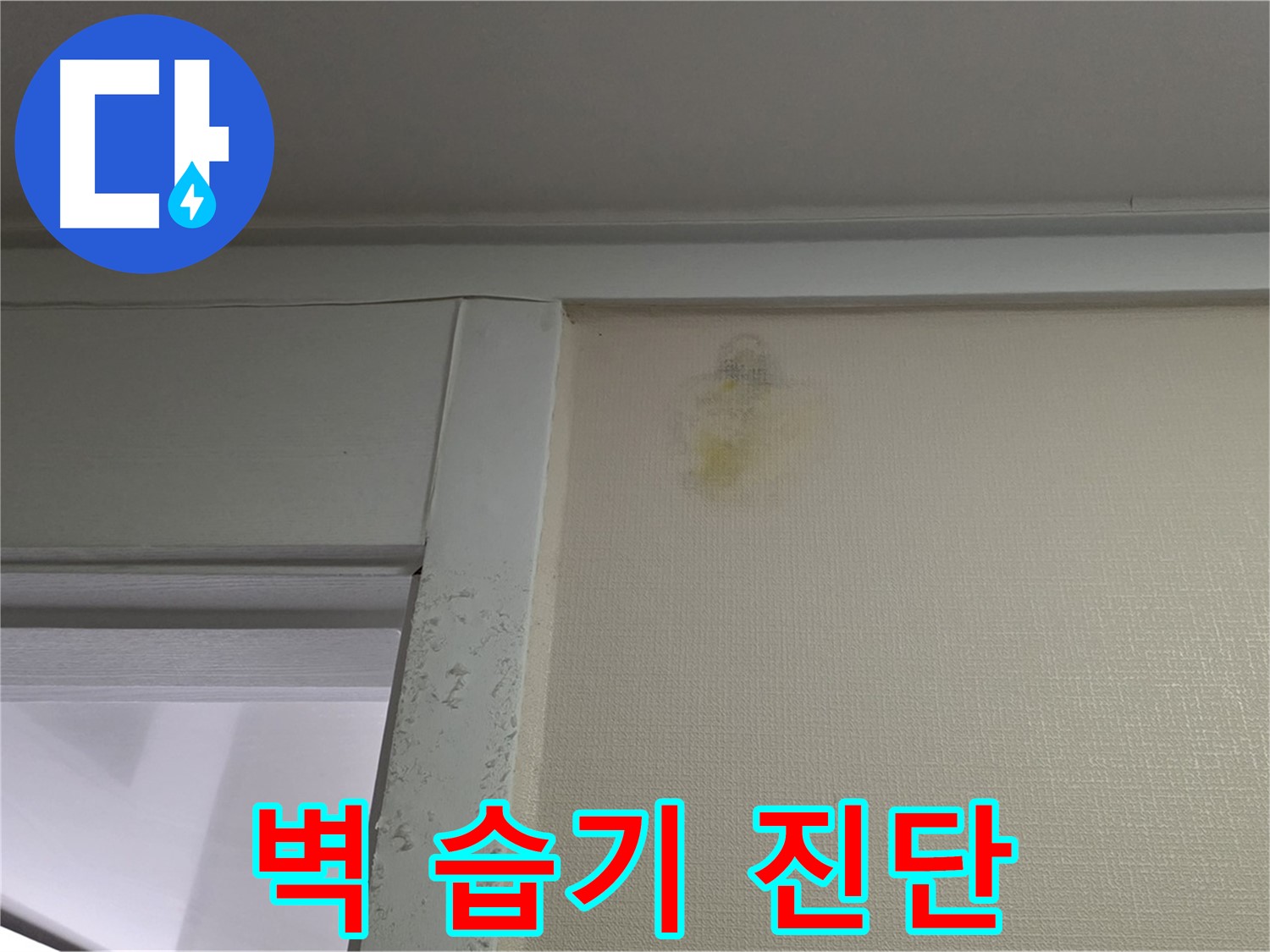 성남시 분당구 운중동 산운마을 아파트 벽 습기 - 누수 초기 의심 및 정밀 진단 필요