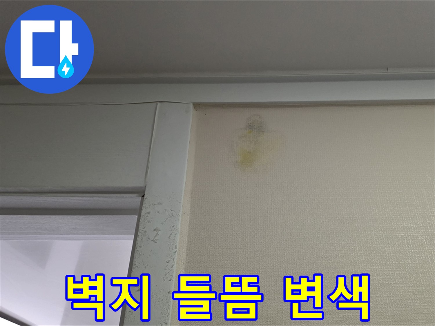 성남시 분당구 운중동 산운마을 아파트 - 벽지 들뜸 및 변색 초기 누수 의심