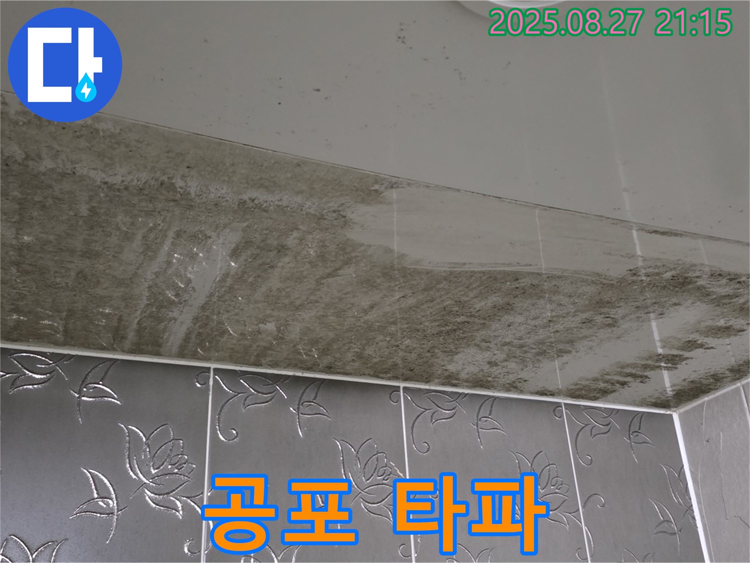 심각한 천장 곰팡이 - 곰팡이 공포를 완전 타파하기 위해 24시간 대기 중인 이미지입니다.