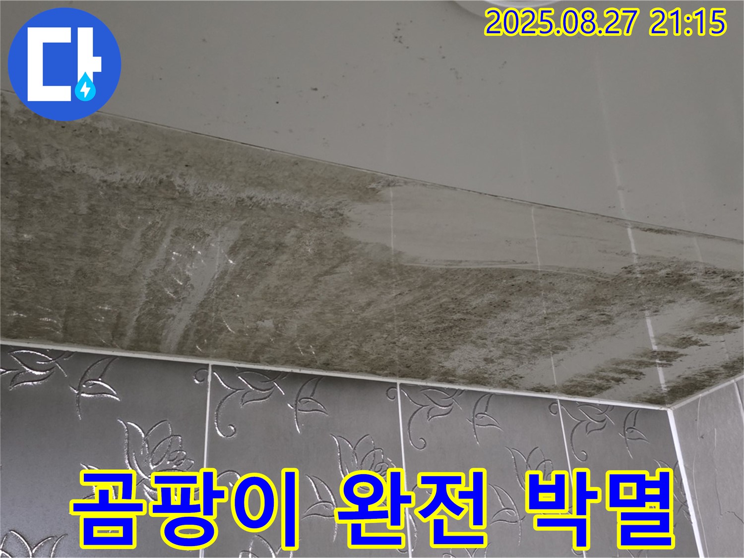 욕실 누수 공사 후 - 곰팡이 제거 및 방수 공사 완료 후 깨끗해진 욕실을 보여주는 이미지입니다 - 곰팡이 완전 박멸을 강조합니다.