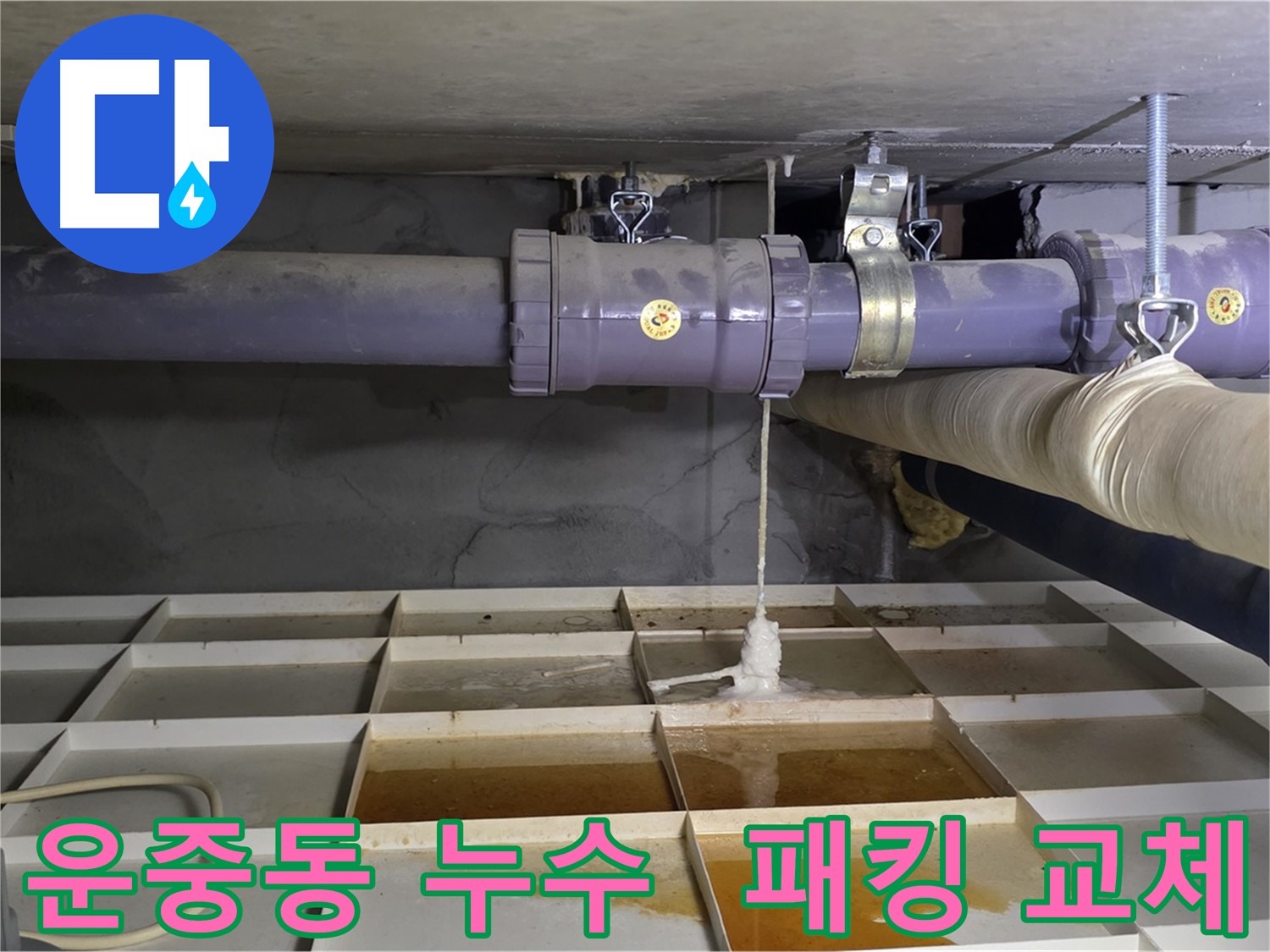 운중동 누수 - 배관 연결 고무 패킹 손상, 정밀 교체 작업