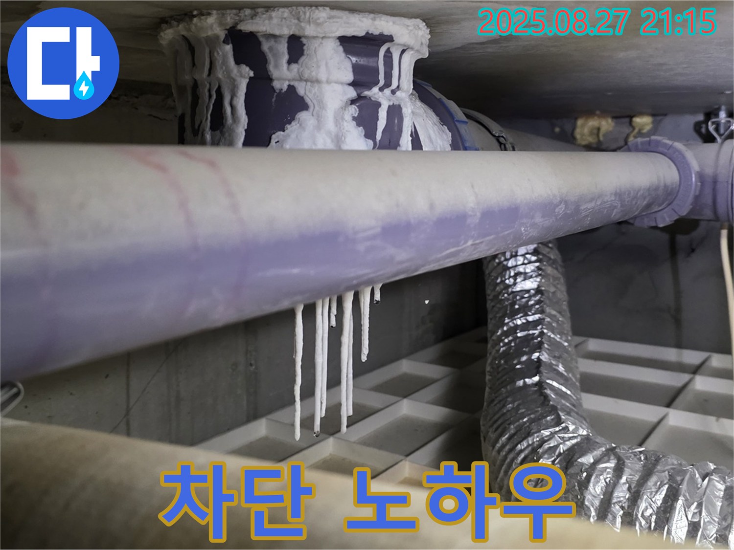 운중동 누수 현장 - 석회 낙수와 배관 부식 문제를 완벽하게 차단하는 노하우를 공개합니다 - 누수 걱정 이제 그만!