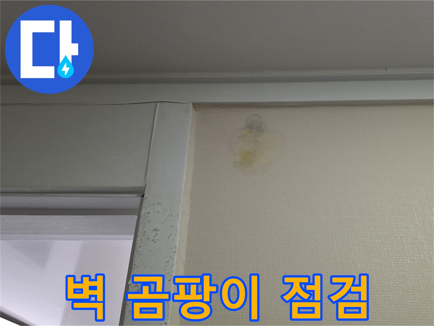 운중동 산운마을 6단지 아파트 - 벽 주변 곰팡이 누수 초기 증상 확인