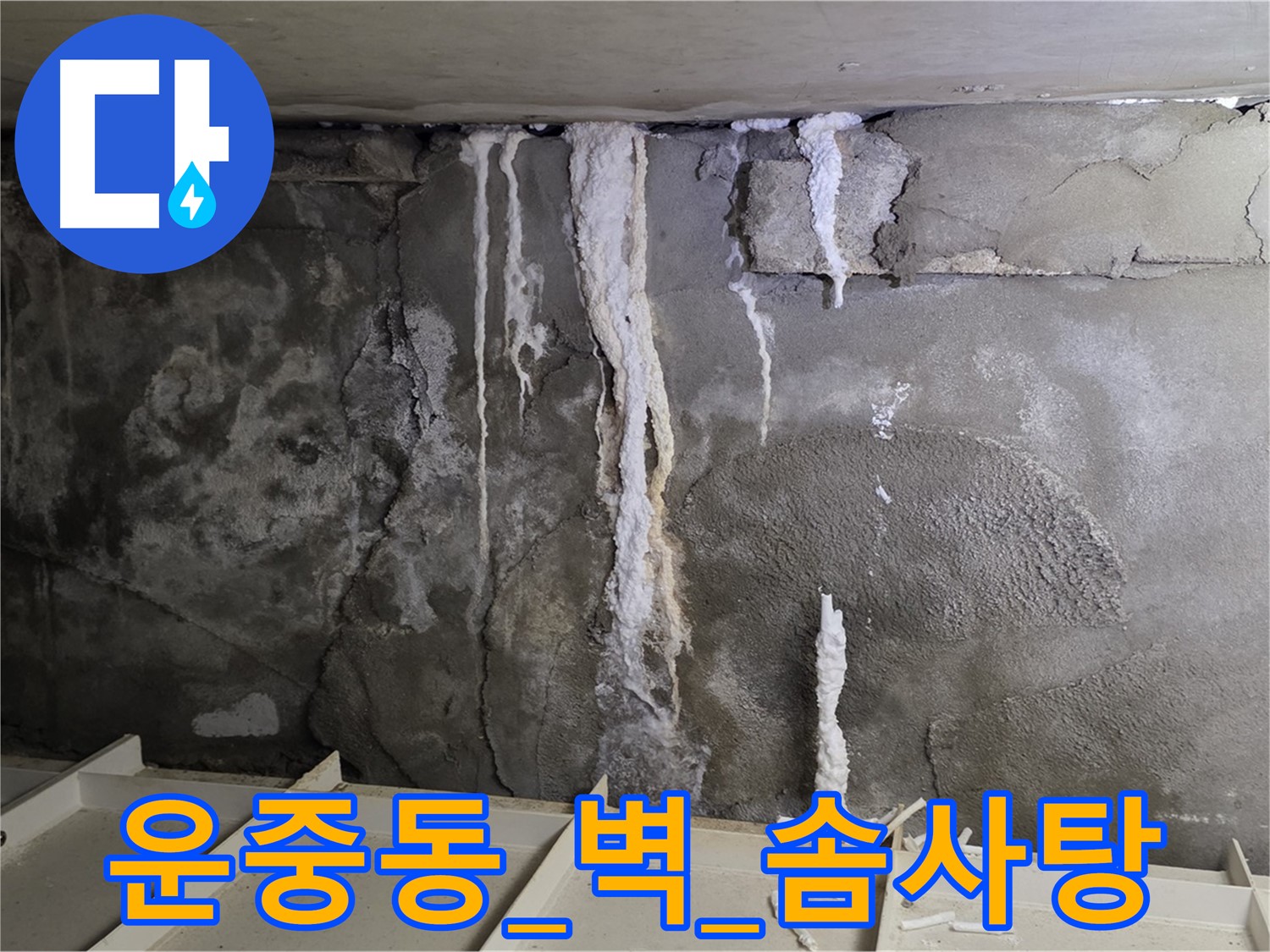 운중동 콘크리트 벽 - 석회수 뚝뚝, 철근 솜사탕처럼 부서질까
